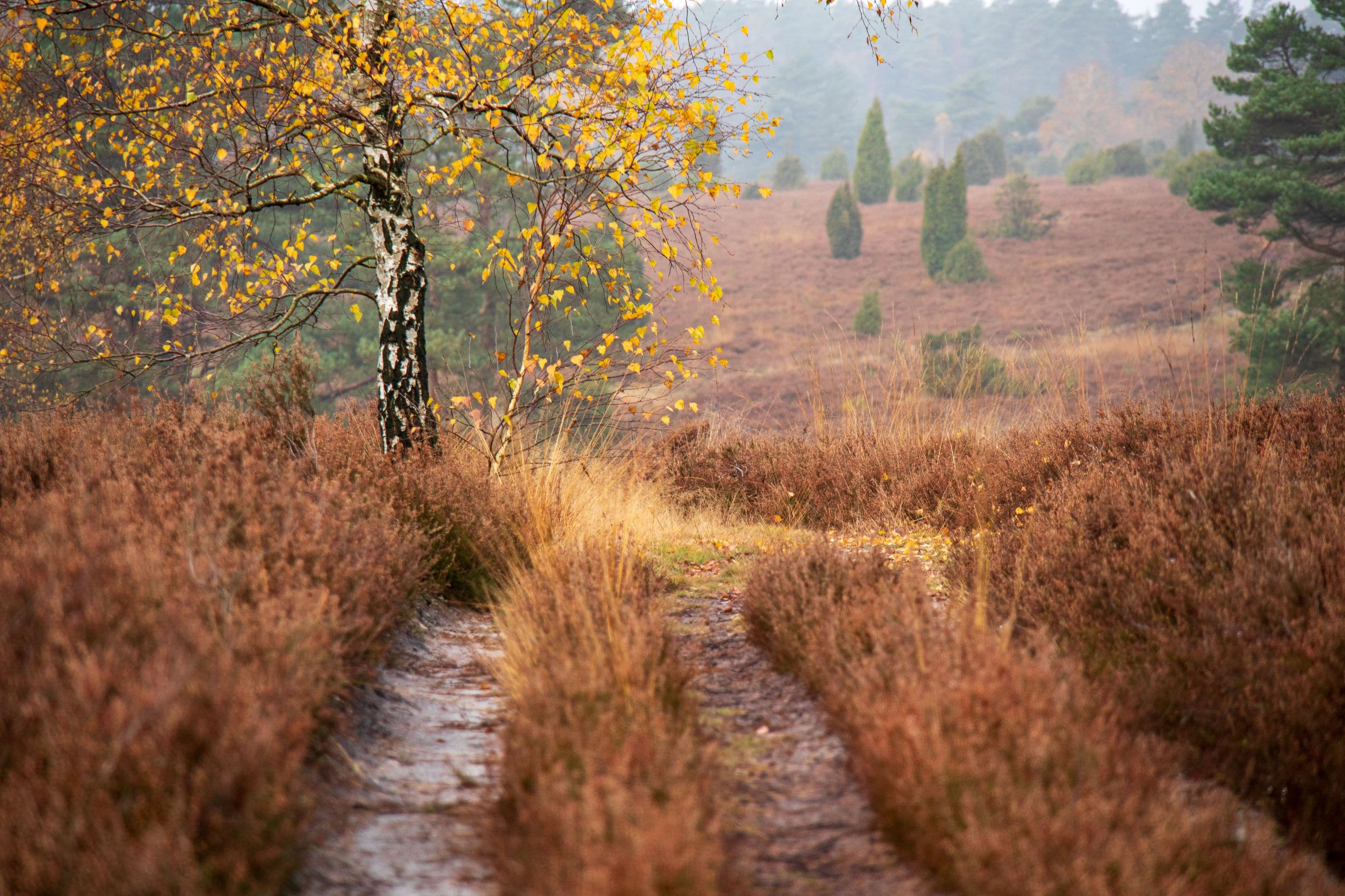 Unterwegs im Tiefental im Herbst
