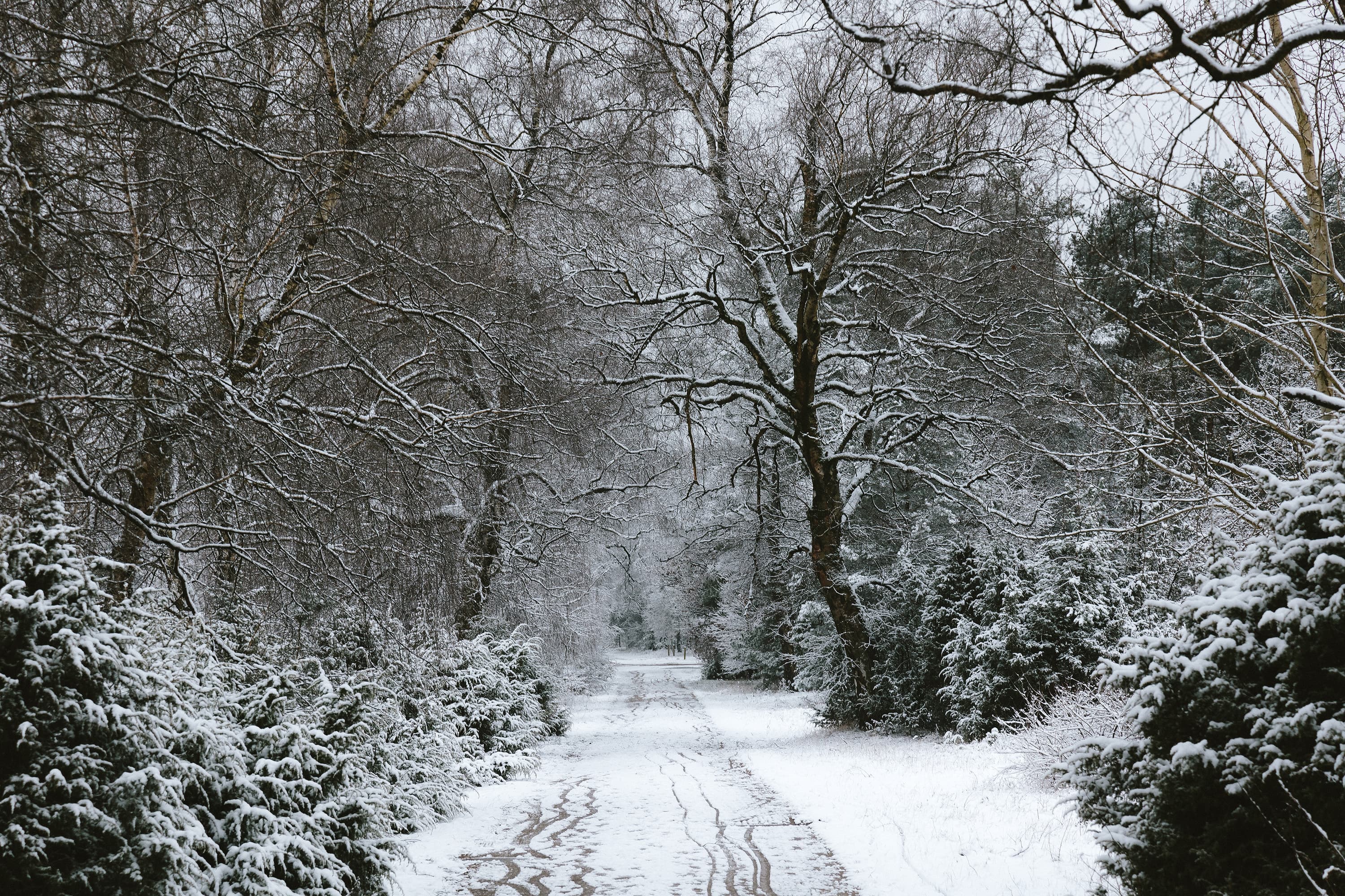Winterwandern im Tiefental in der Lüneburger Heide