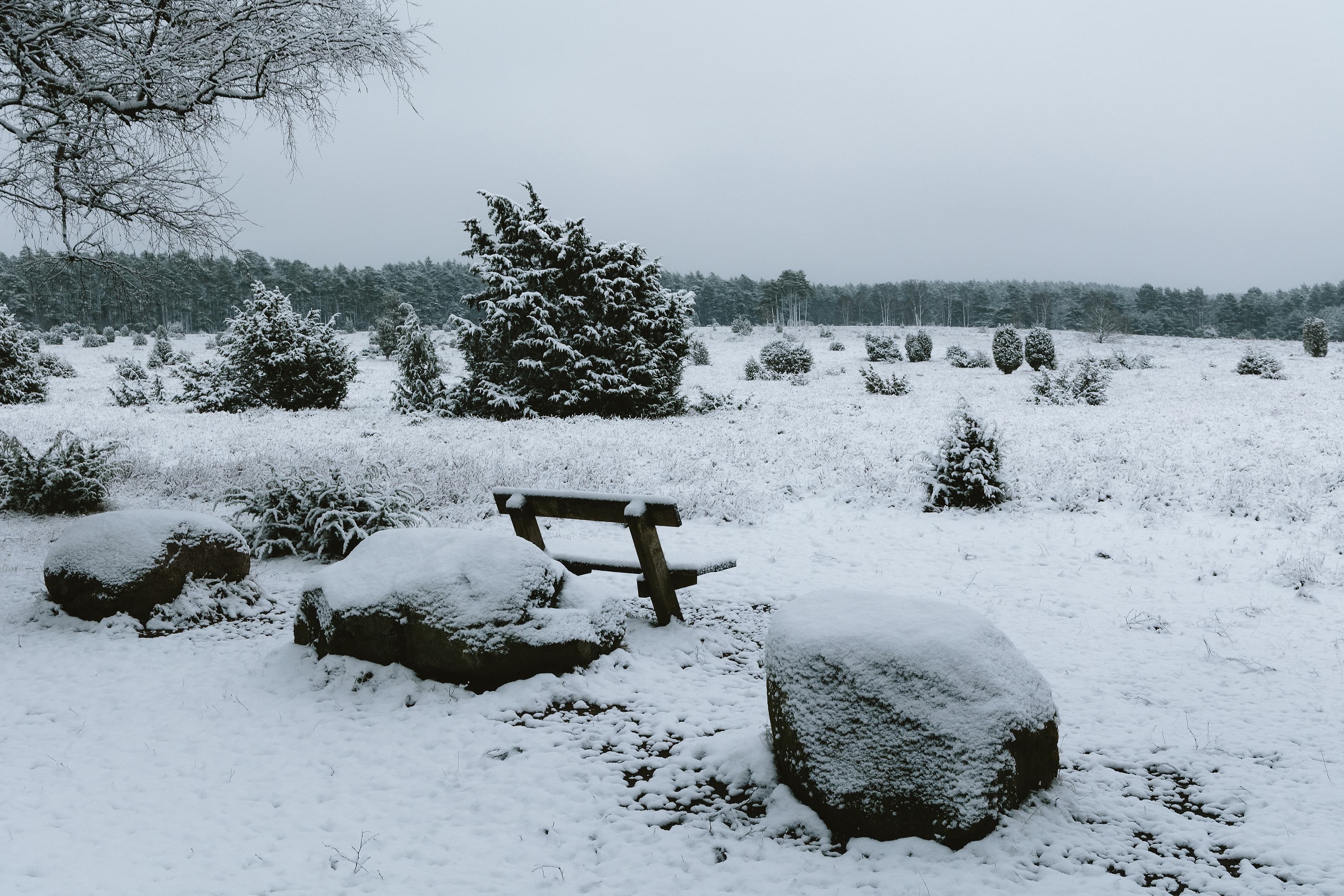 Tiefental bei Hermannsburg im Winter mit Schnee lädt zum Winterwandern ein