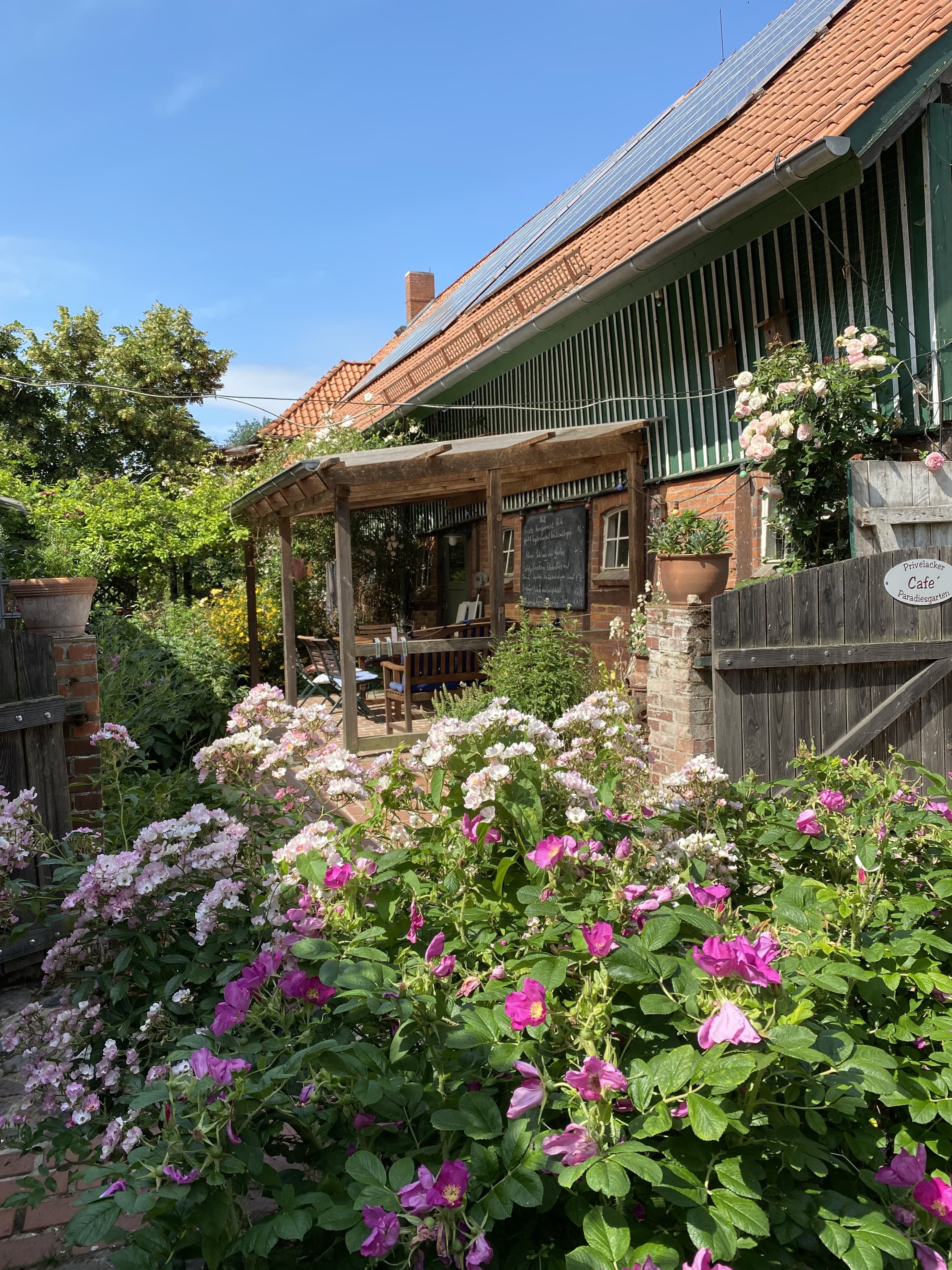 Eingang zum Café mit blühendem Sommergarten