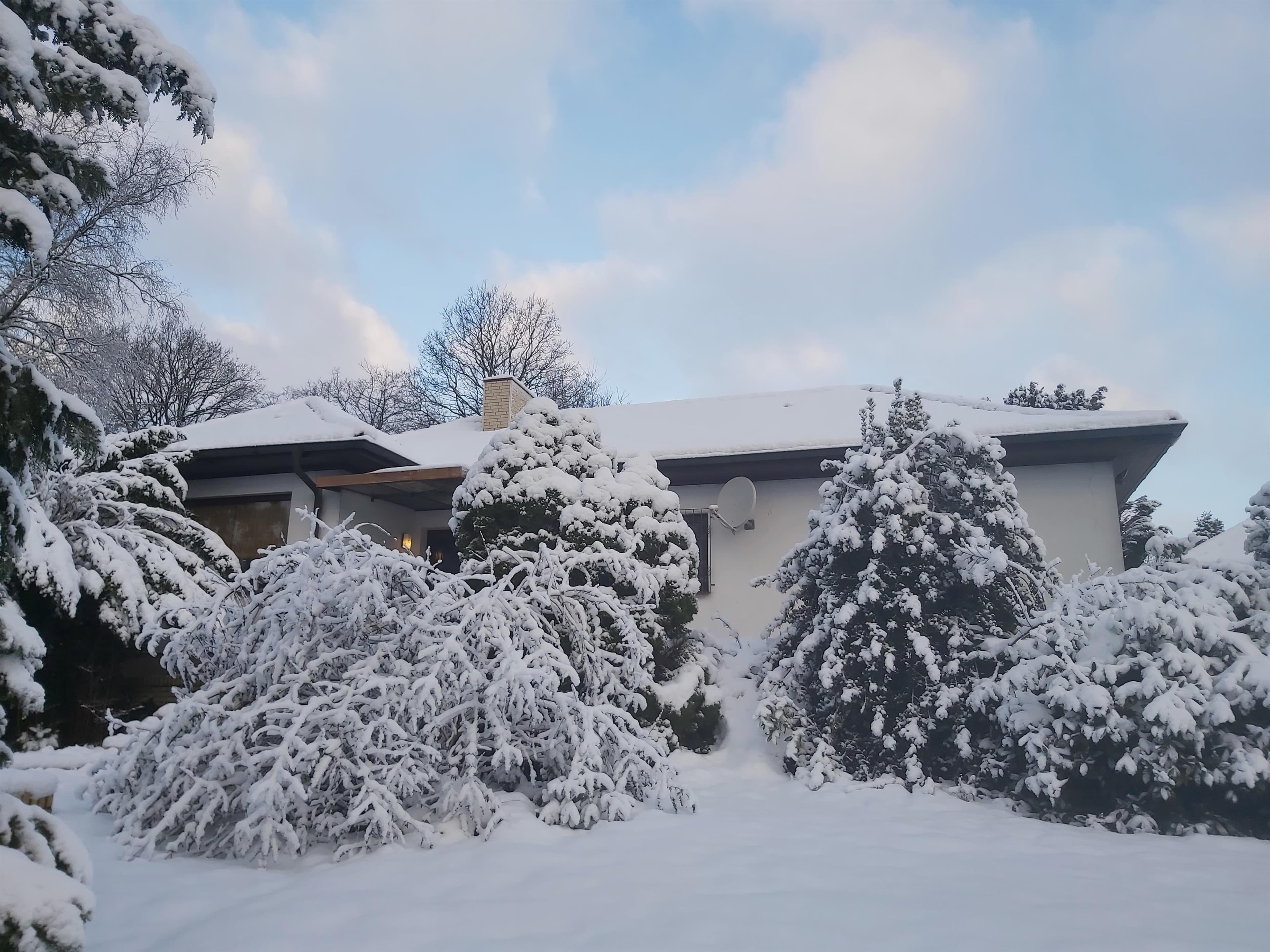 Ferienhaus Birkhuhn im Winter