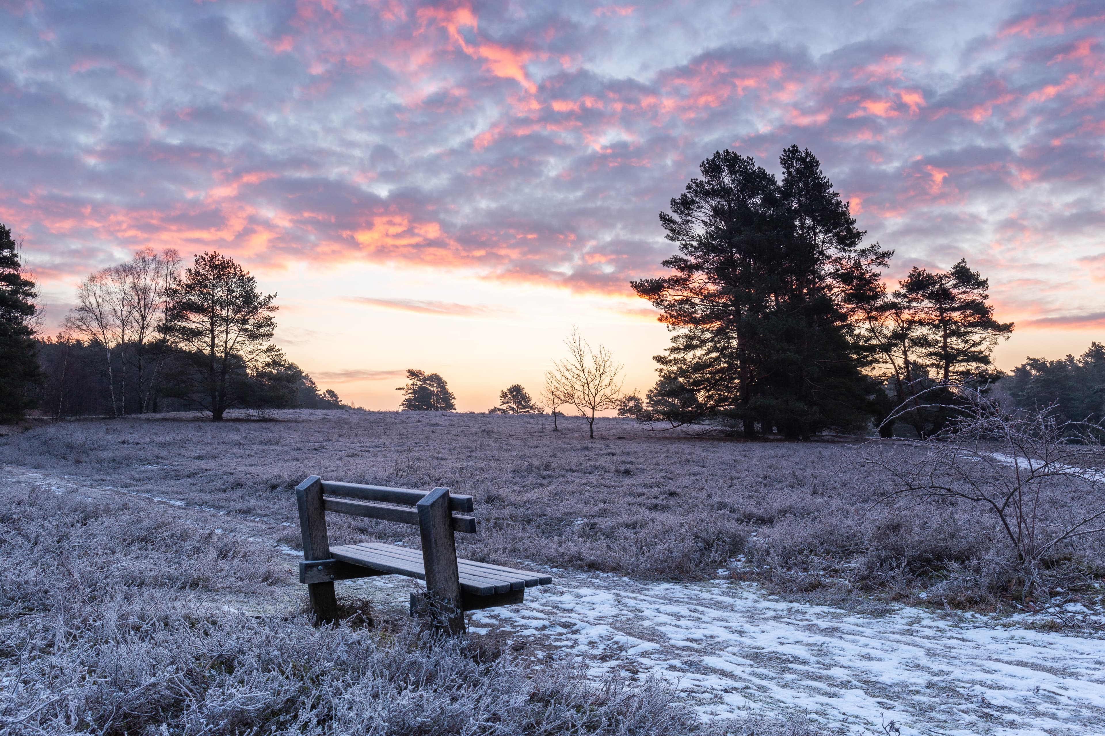 Hermannsburg Misselhorner Heide Winter Frost