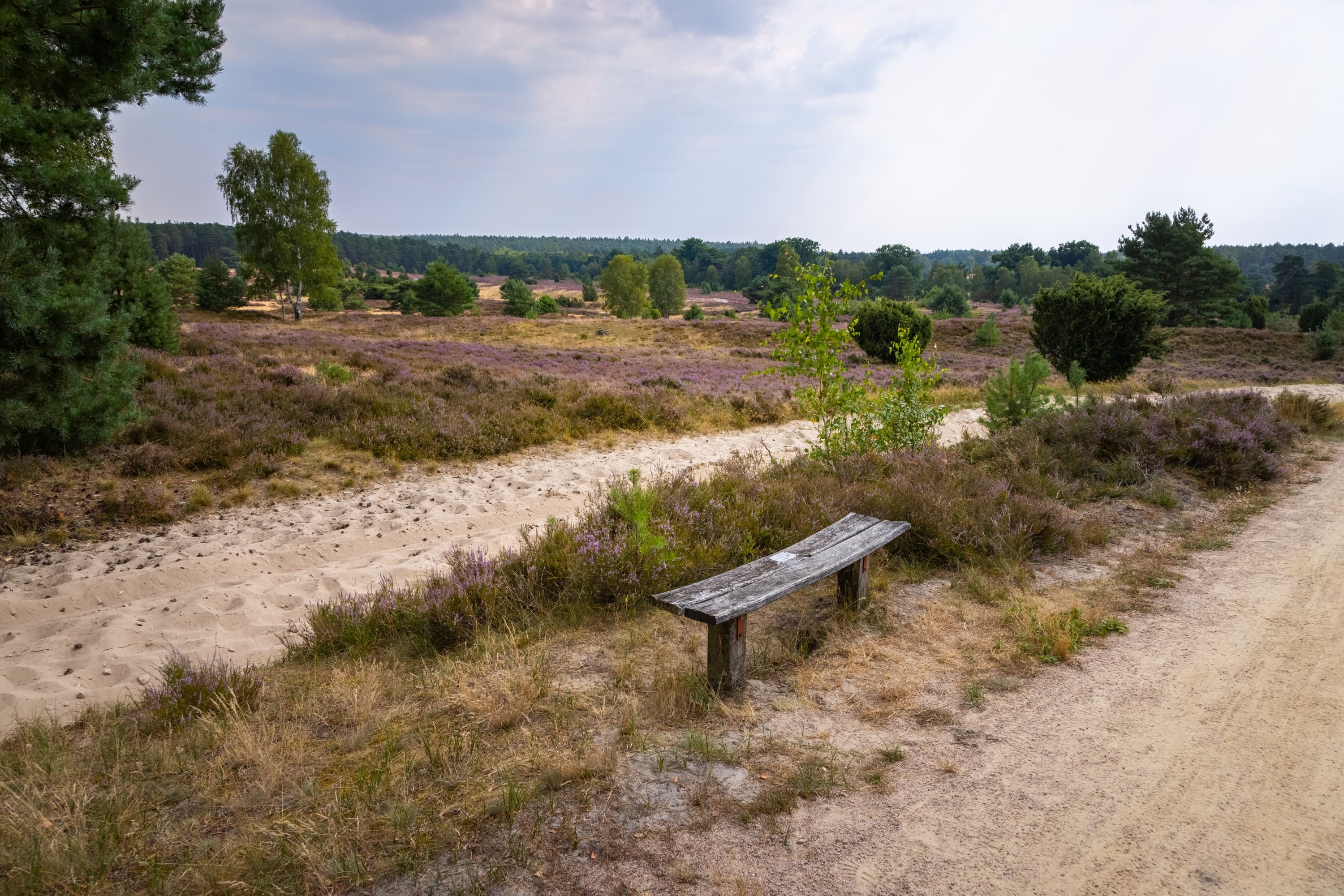 Ausruhen auf einer Bank auf dem Wanderweg Heideschleife Radenbachtal