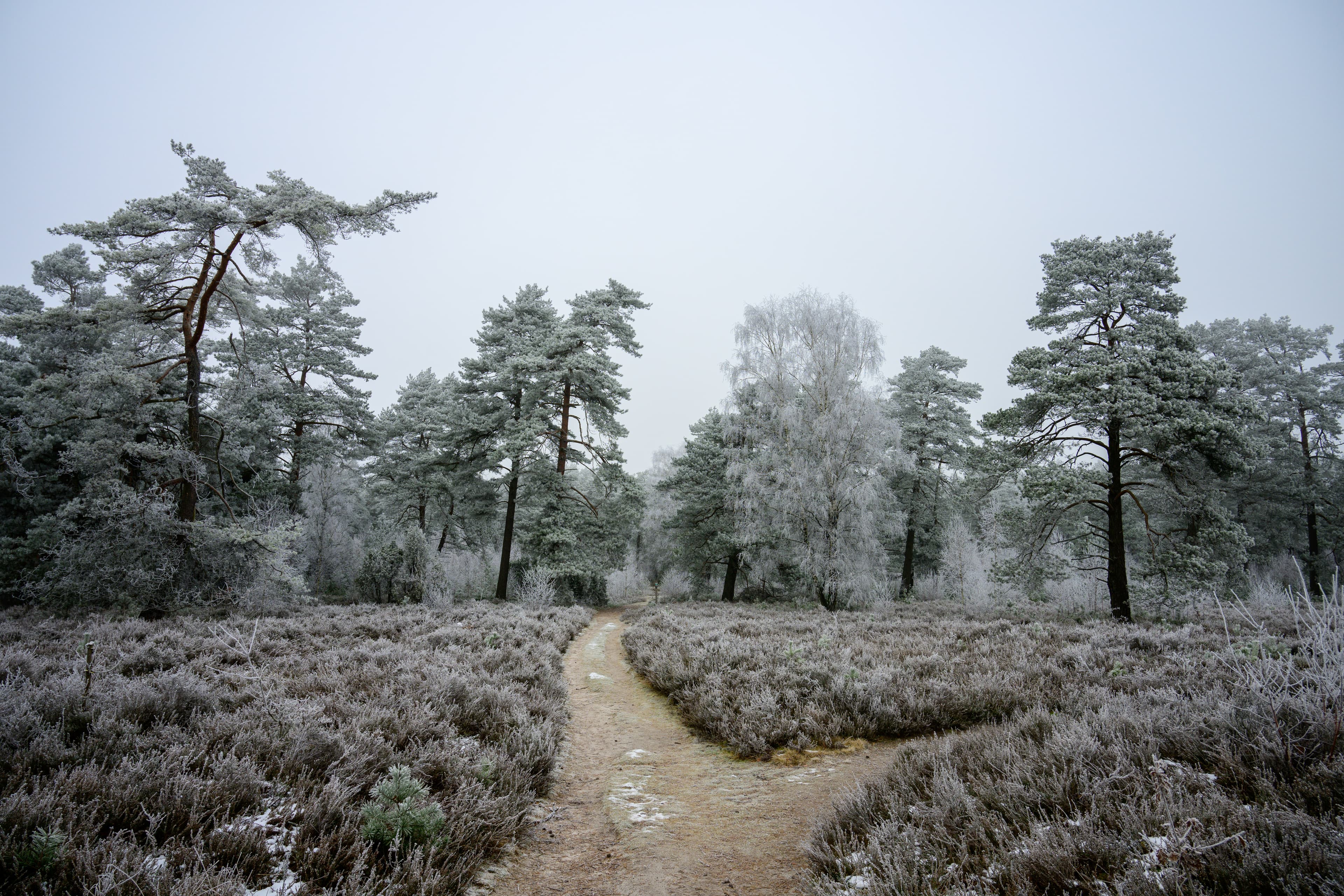 Müden Wietzer Berg Winter