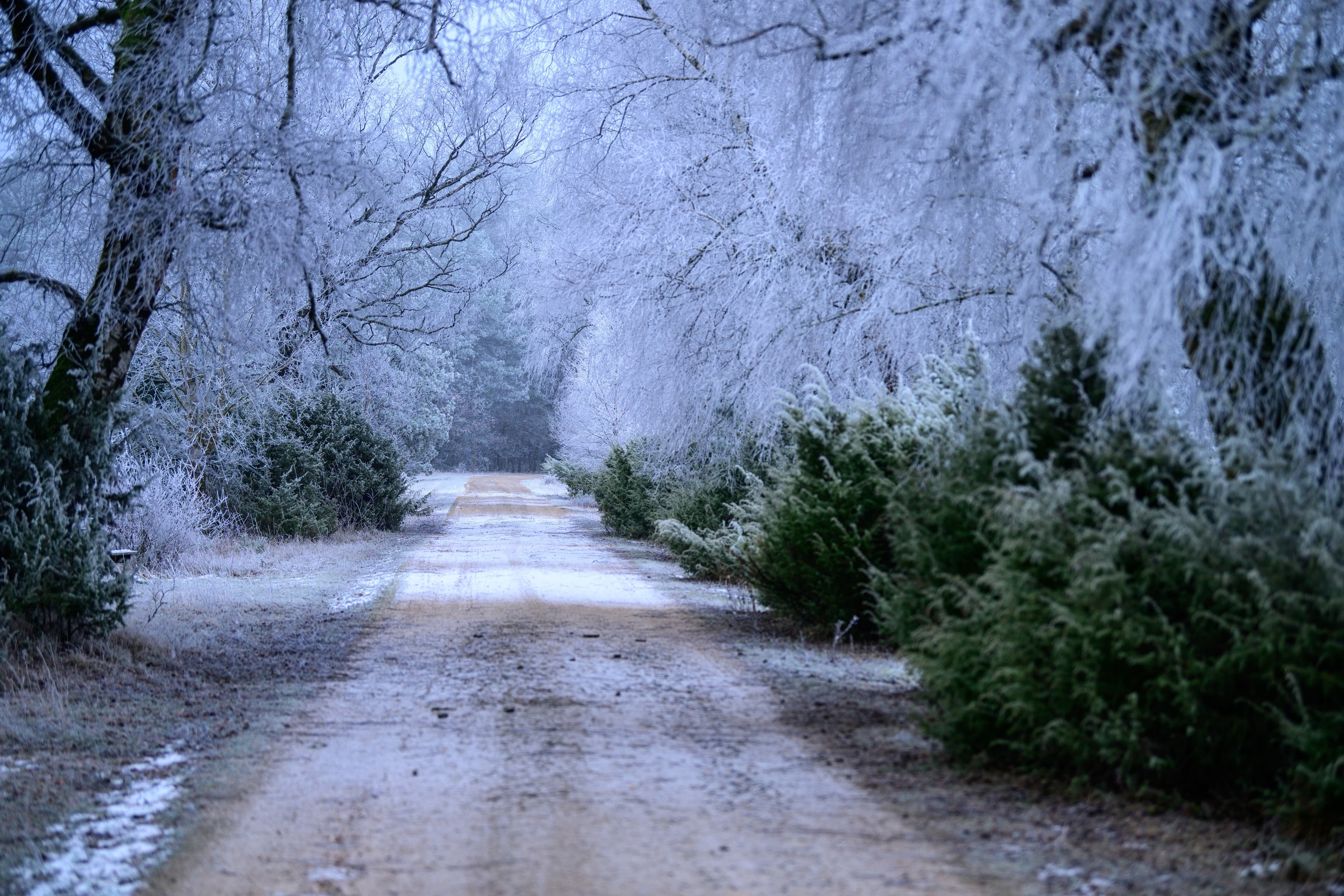 Hermannsburg Misselhorner Heide Winter