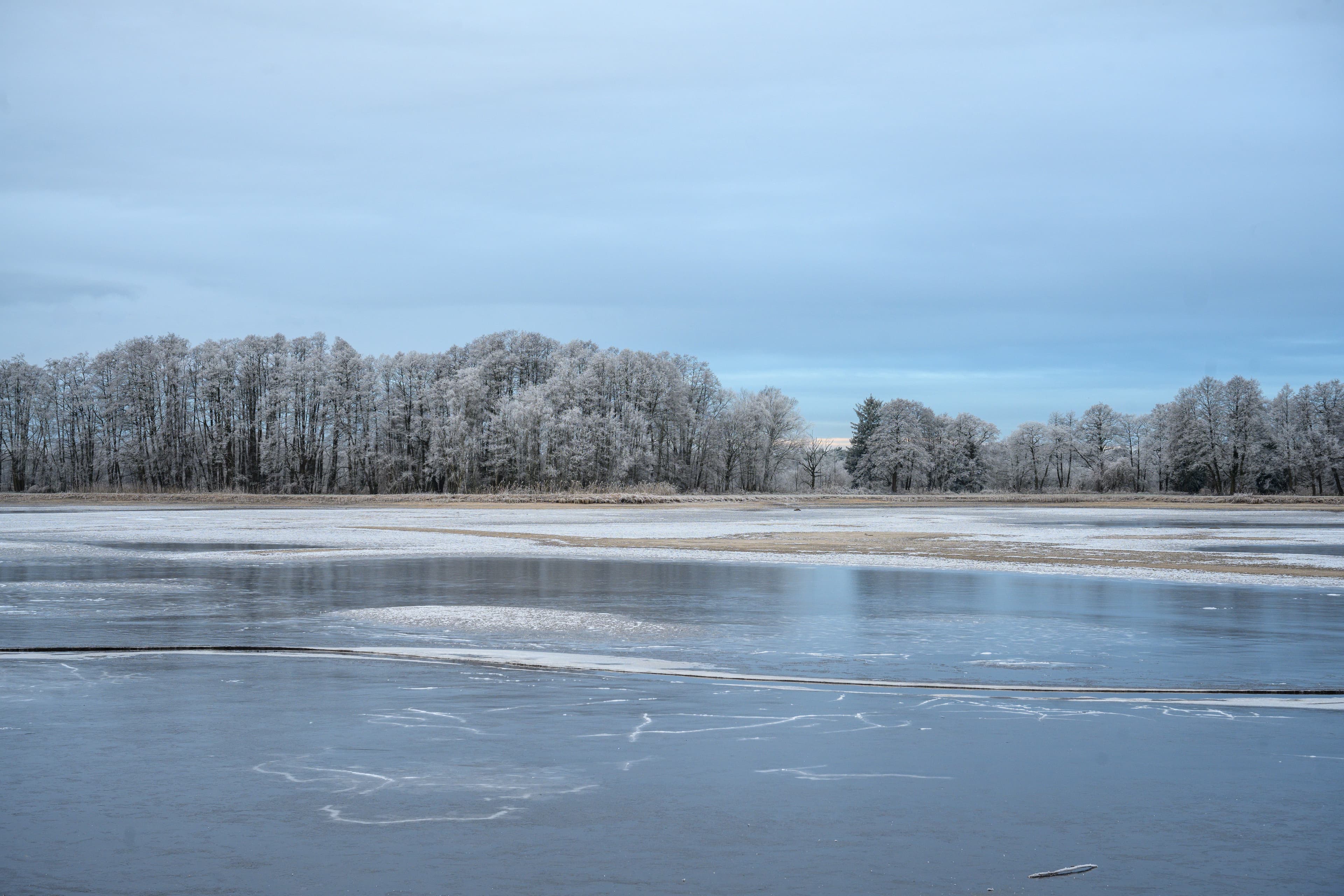 Meißendorfer Teiche im Winter