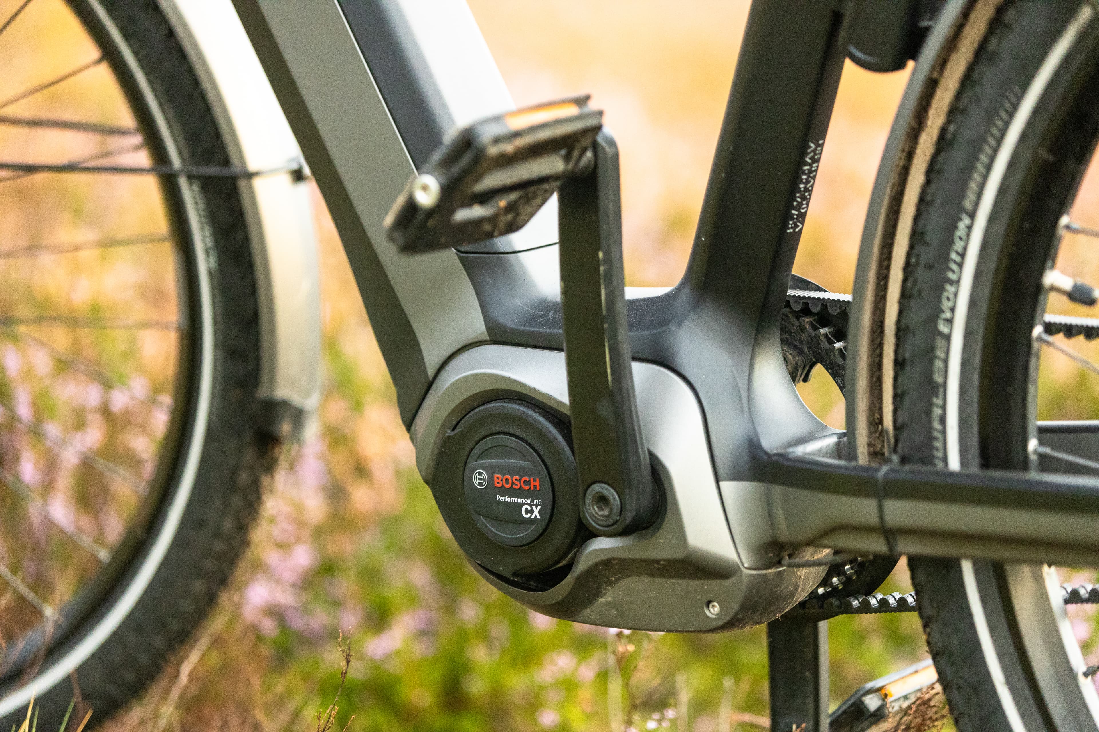 E-Bike Pedale