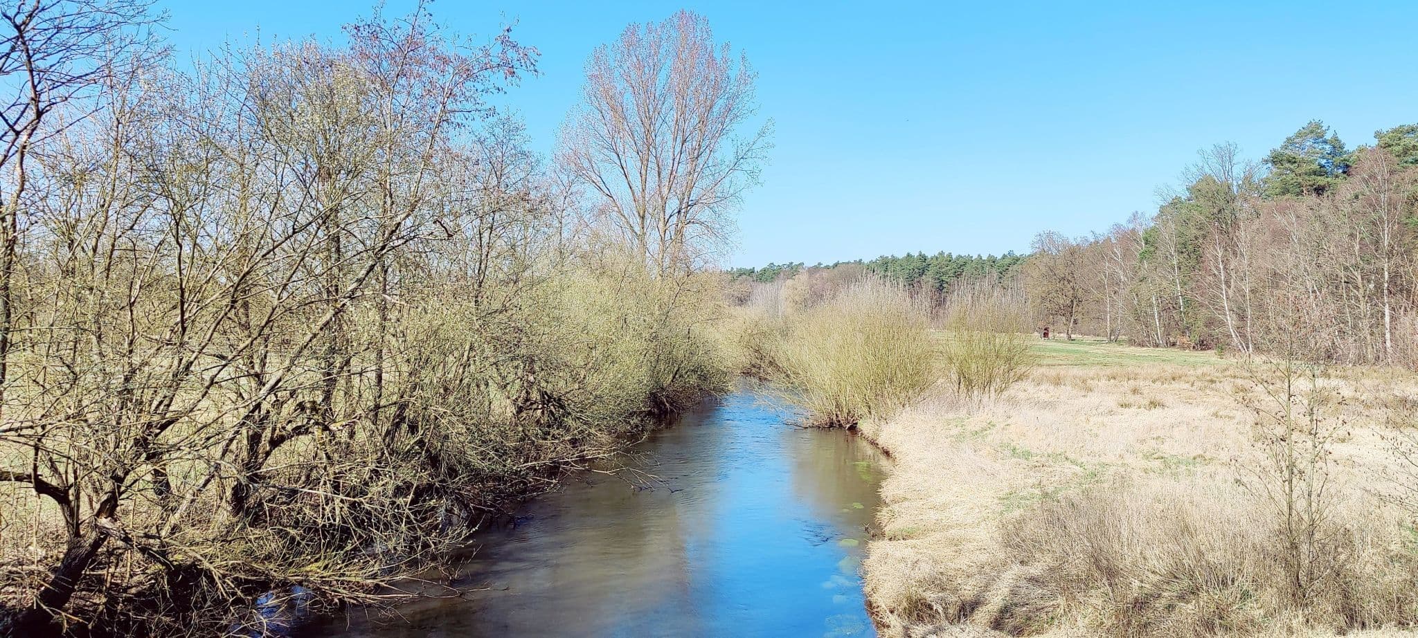 Ilmenau bei Bruchtorf – idyllische Landschaft am Ilmenauradweg
