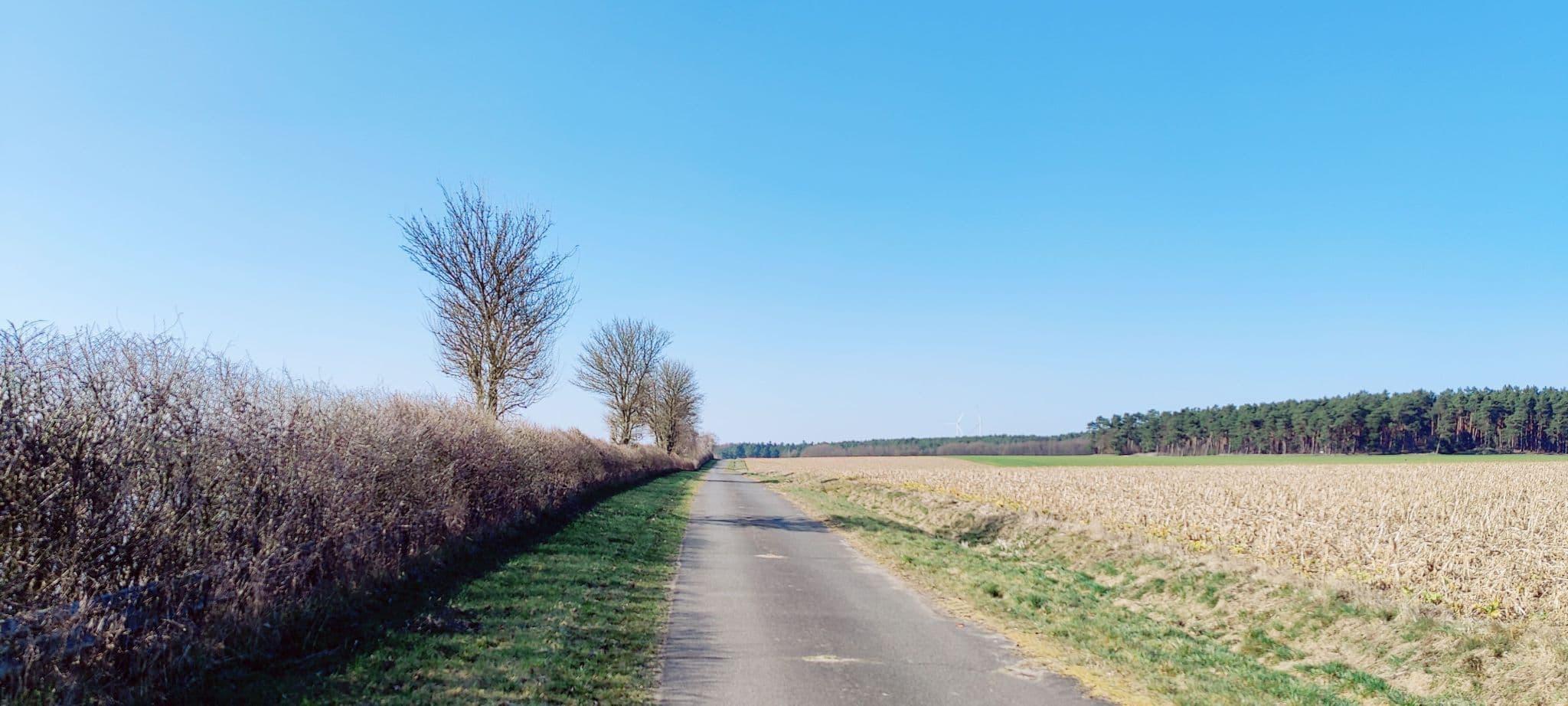 Asphaltierter Wirtschaftsweg am Elbe-Seitenkanal bei Wulfstorf