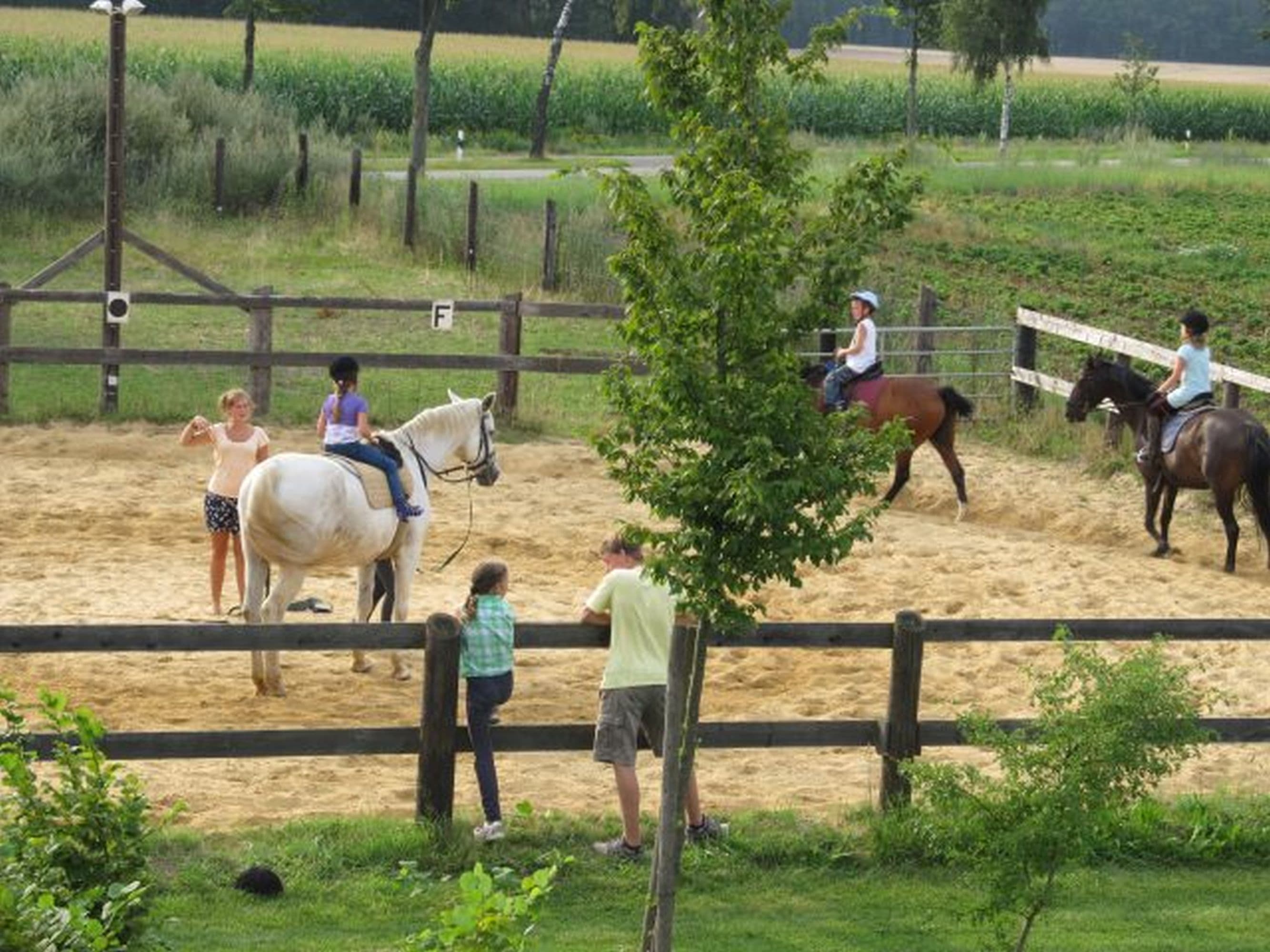 Reitunterricht auf dem Ferienhof Stegen in Wietzendorf