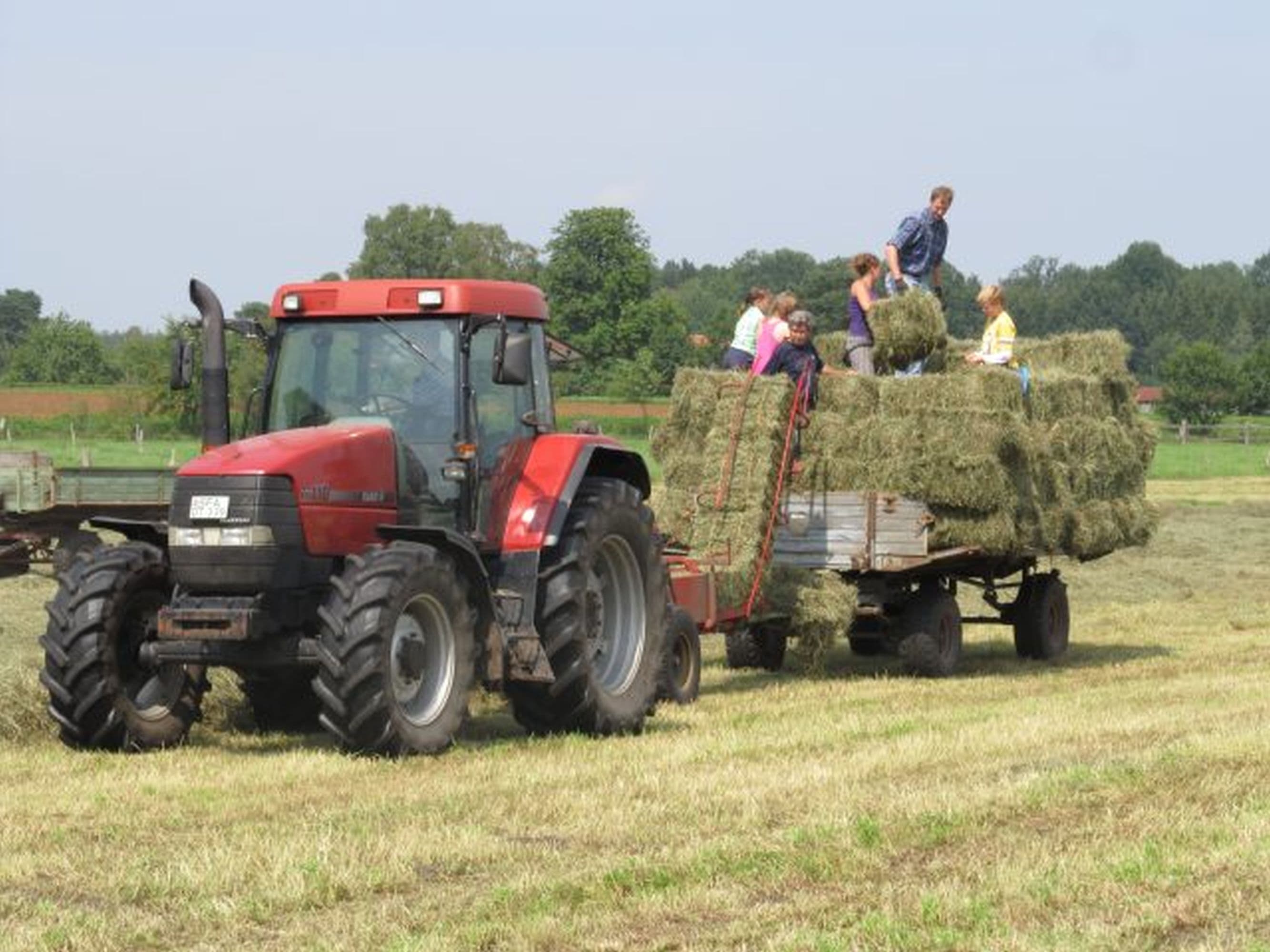 Der Ferienhof Stegen ist ein landwirtschaftlicher Betrieb in Wietzendorf