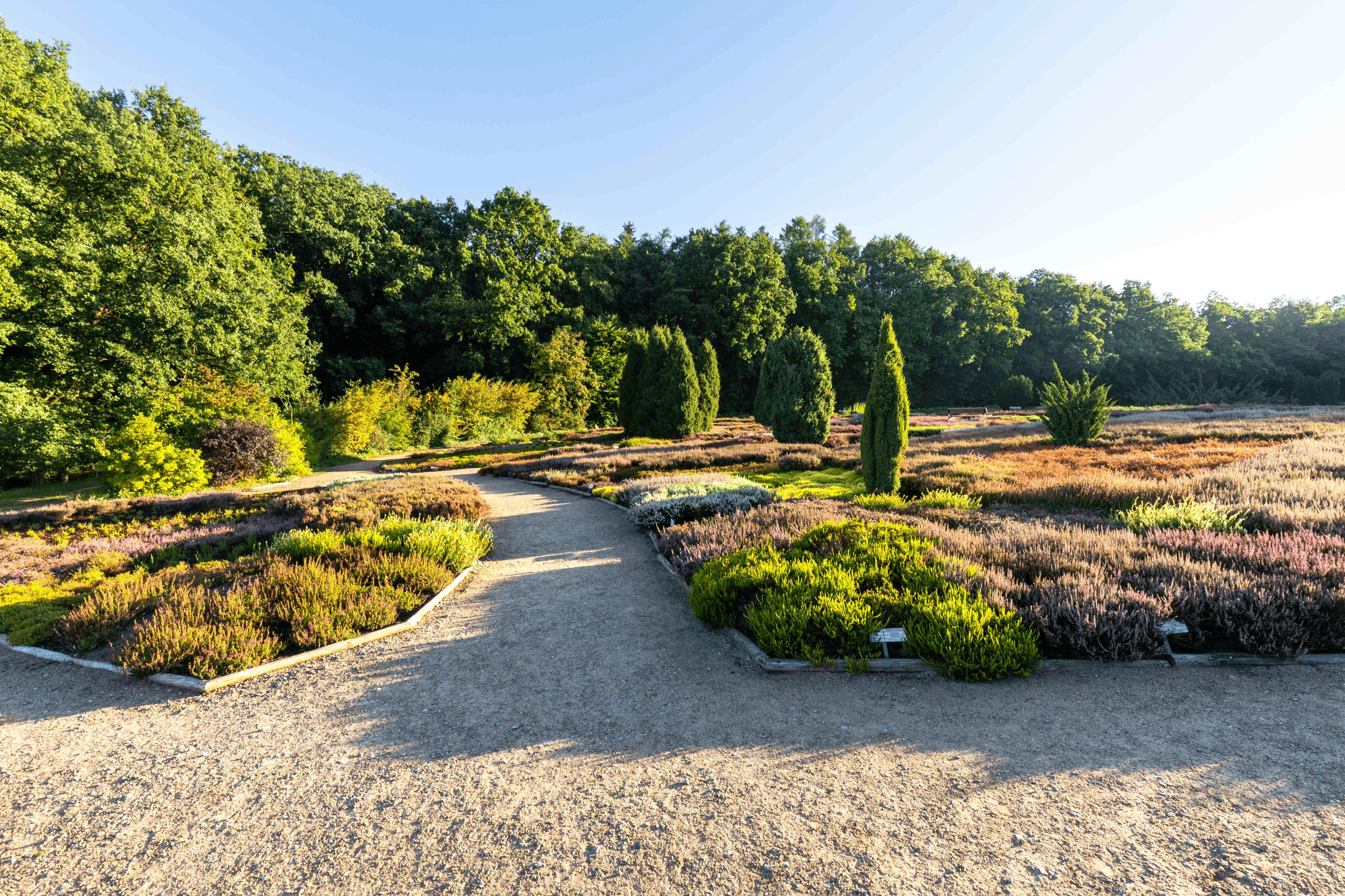 Blick auf den Heidegarten bei Schneverdingen
