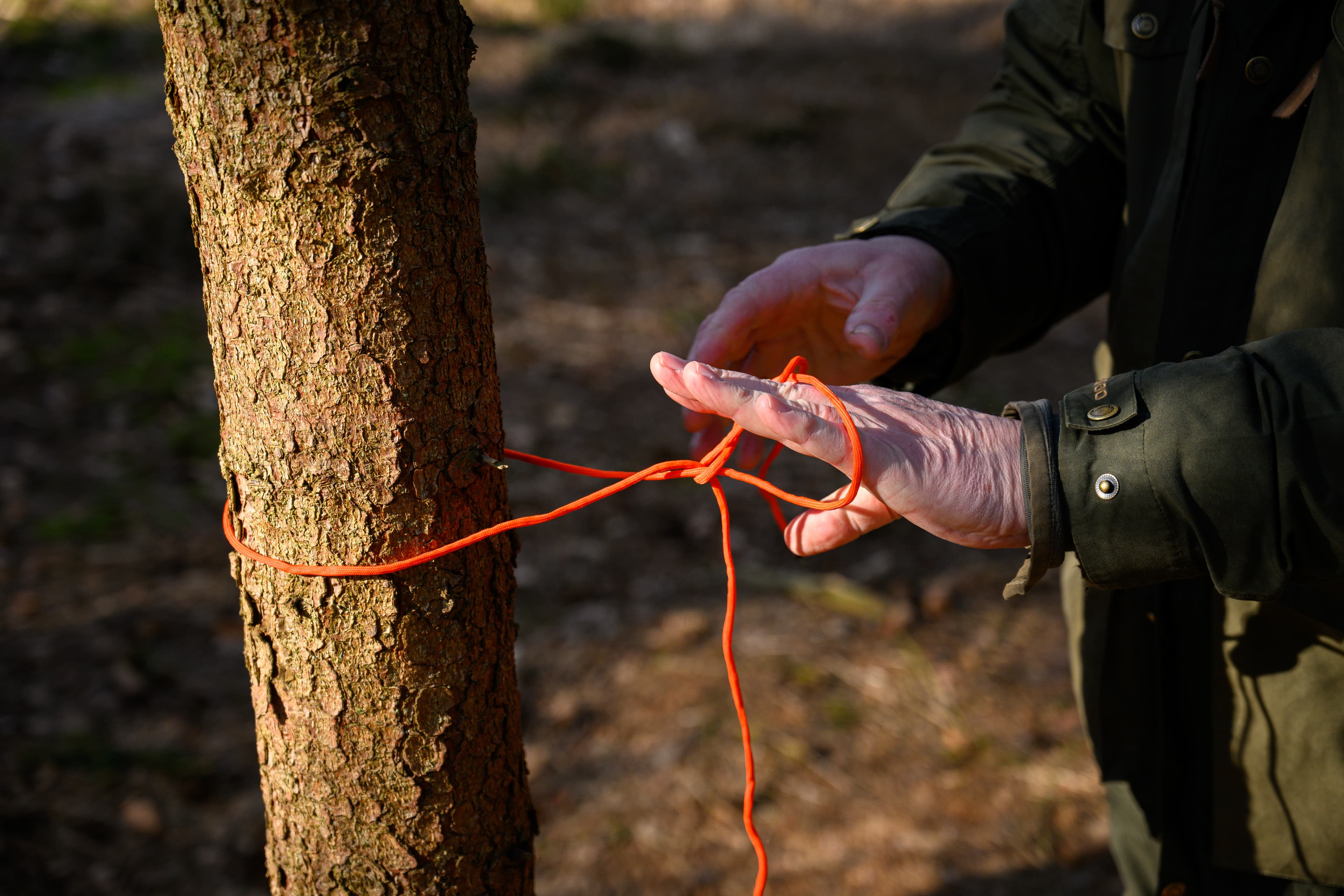Bushcraft mit Clwyd Owen
