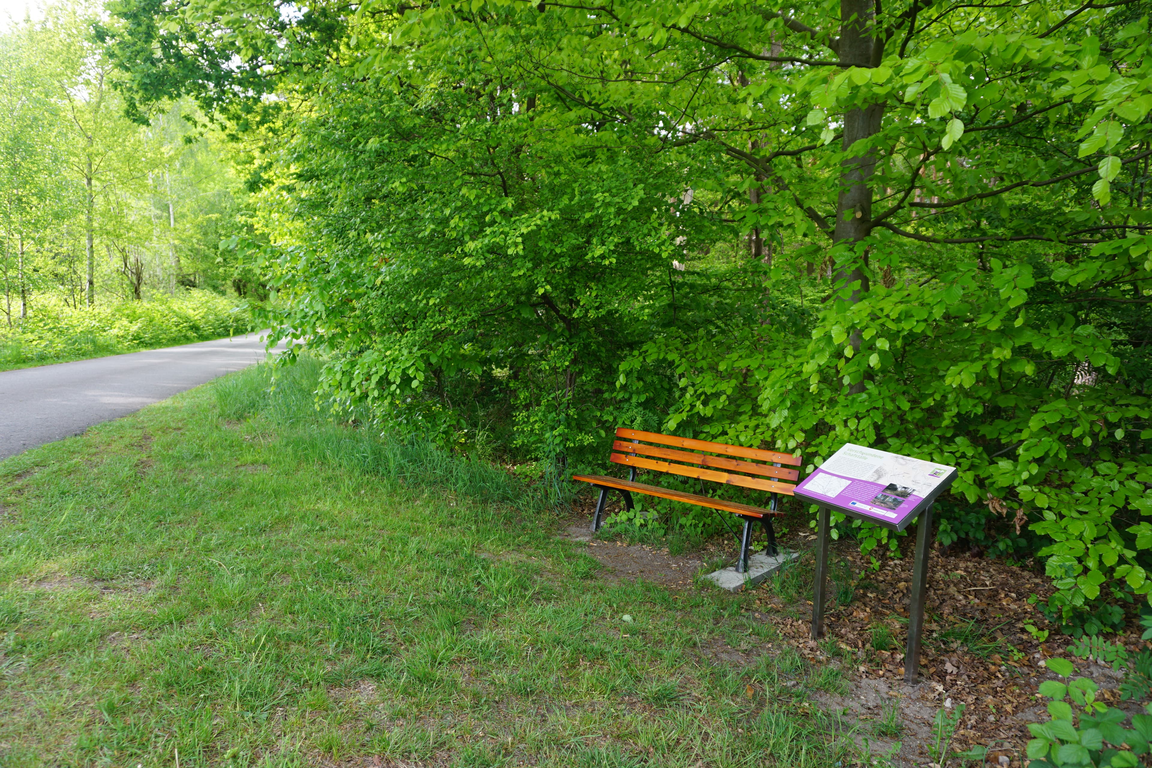 Thementafel am Ahnsbecker Weg Wanderweg Hohne