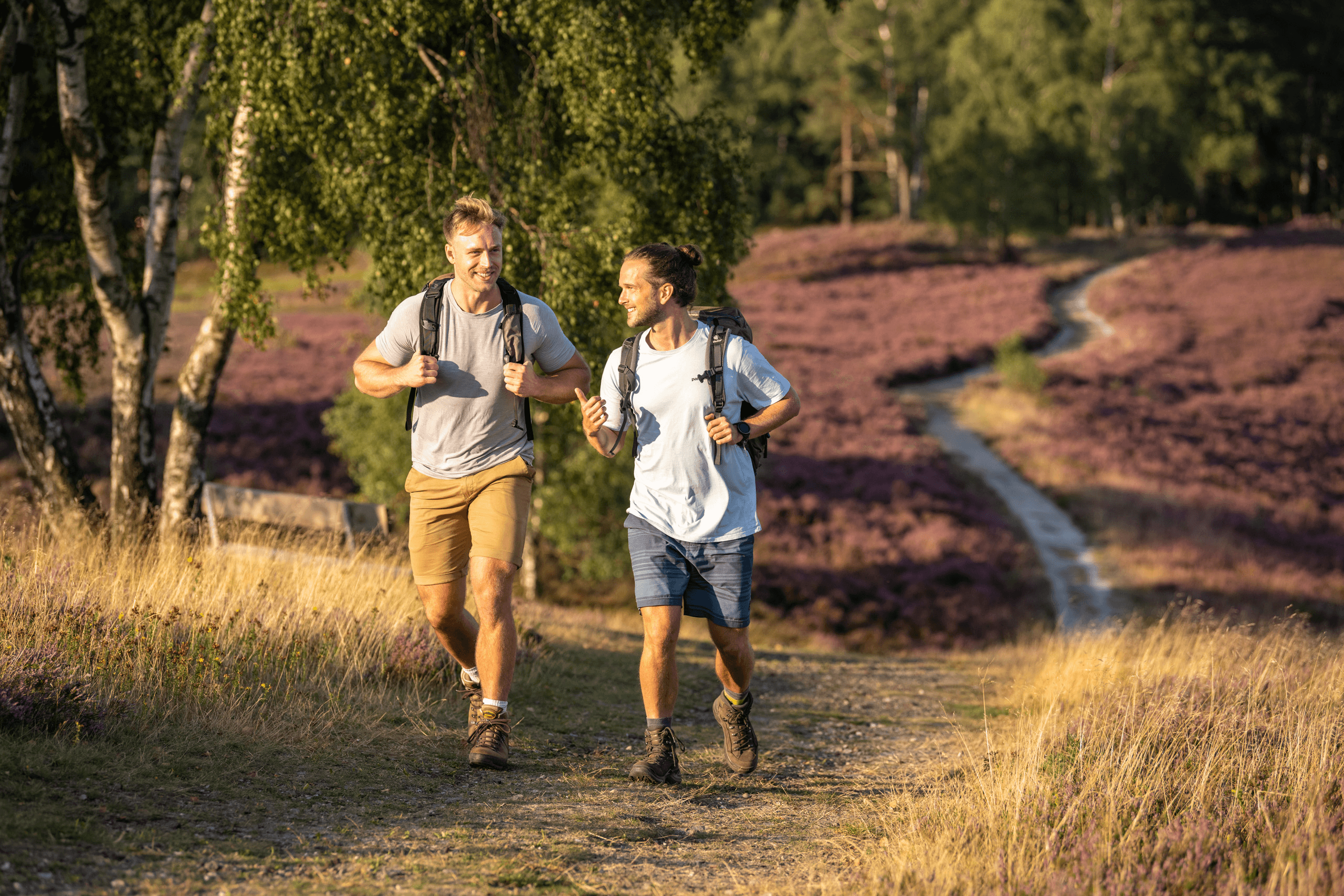 tolle Wanderwege in der Lüneburger Heide zum Wandern
