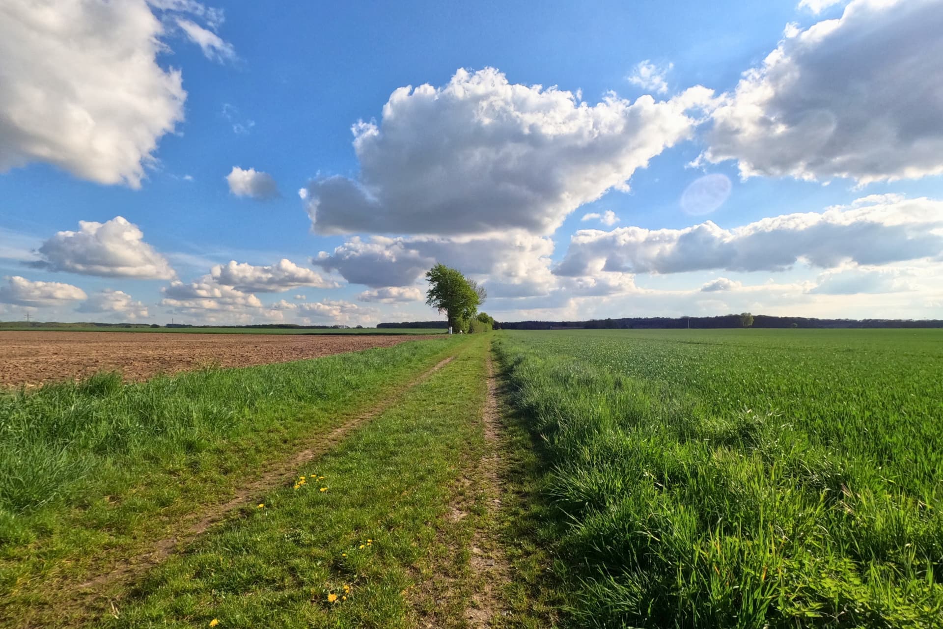 Weite Frühlingslandschaft zwischen Jelmstorf und Seedorf (Heideregion Uelzen)