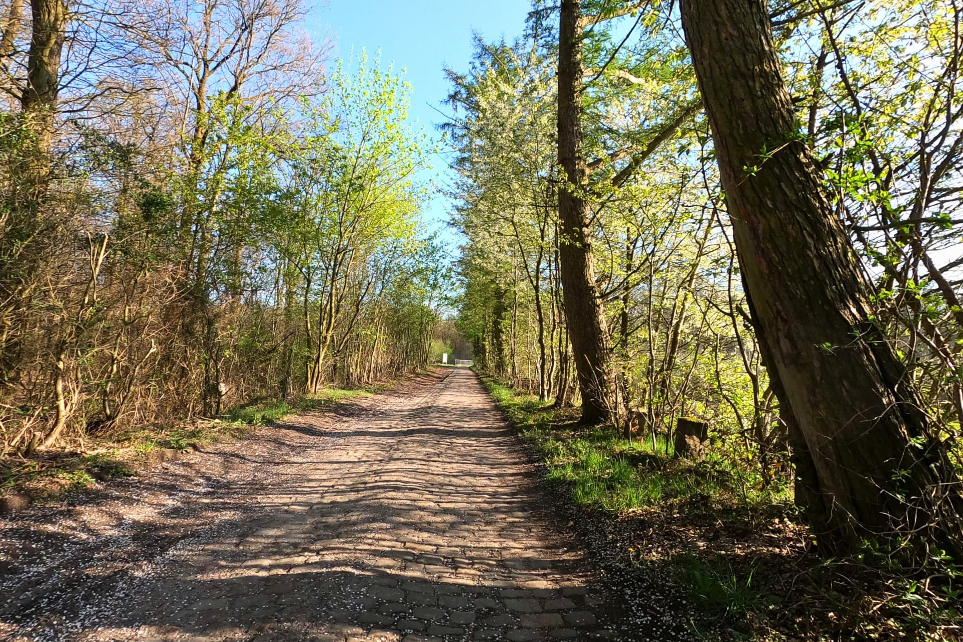Schöpfungsweg zwischen Ebstorf und Melzingen – Heideregion Uelzen