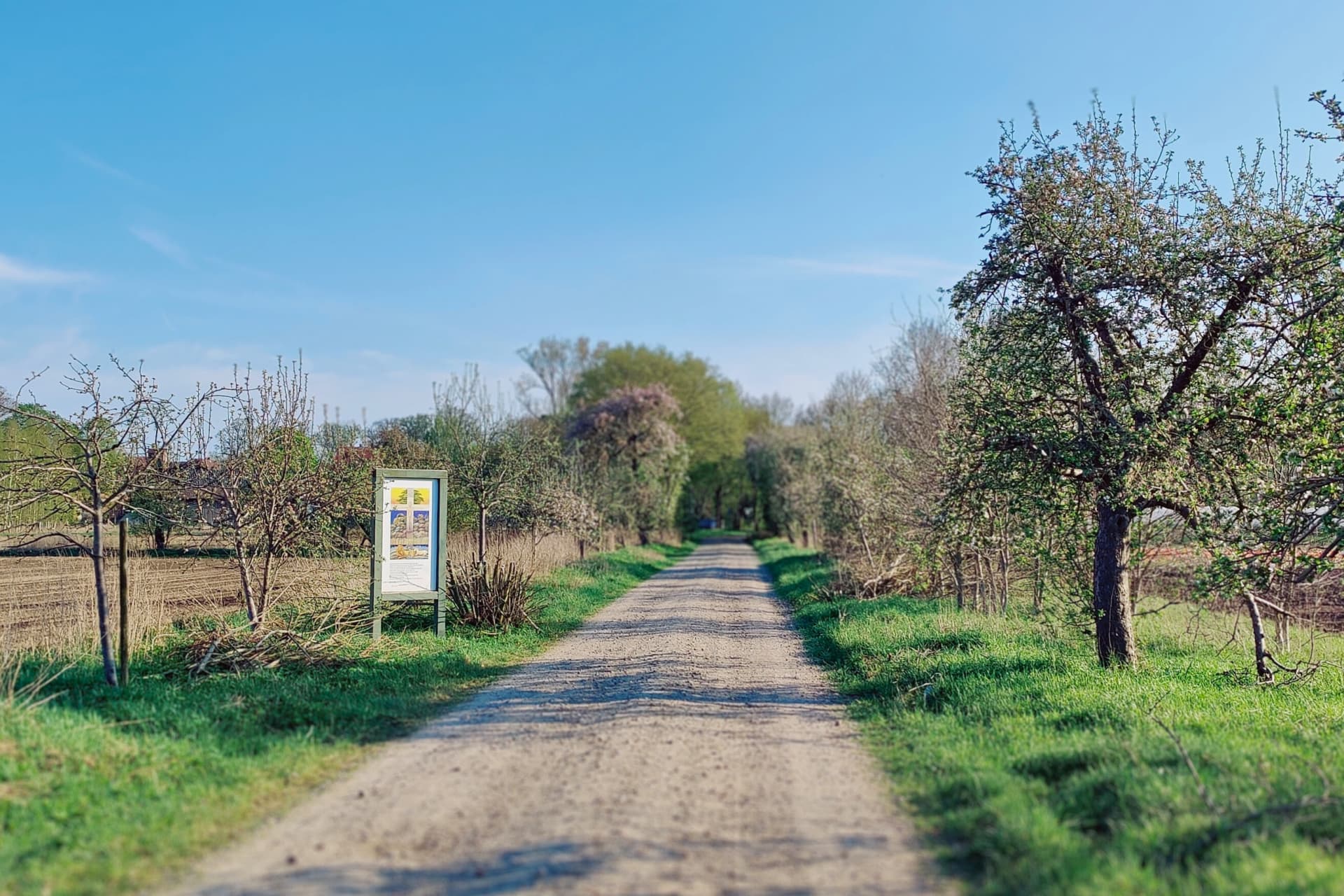 Frühling am Schöpfungsweg zwischen Ebstorf und Schwienau