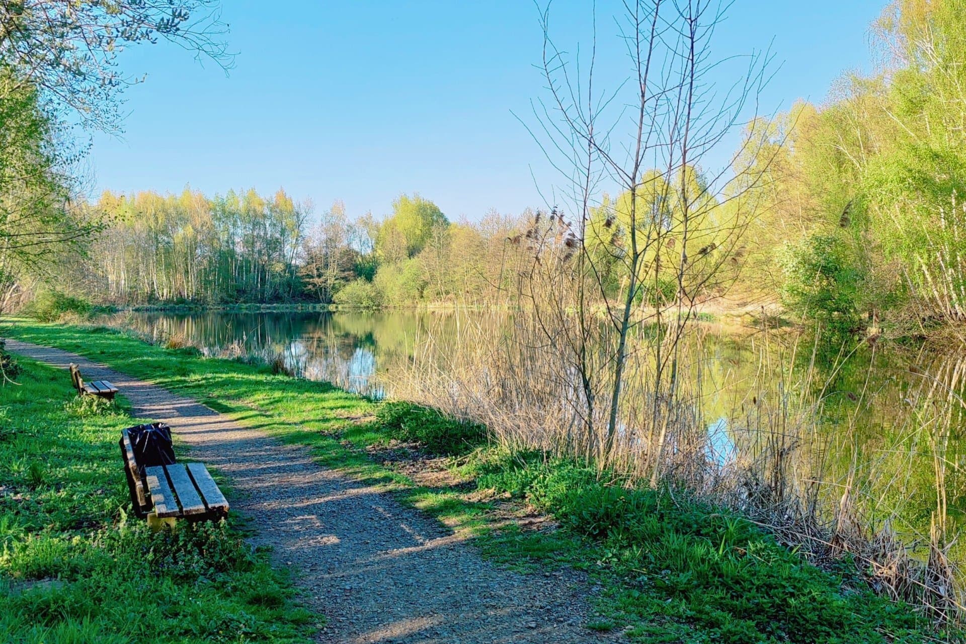 Spazierweg am Wiesensee in Ebstorf – Heideregion Uelzen