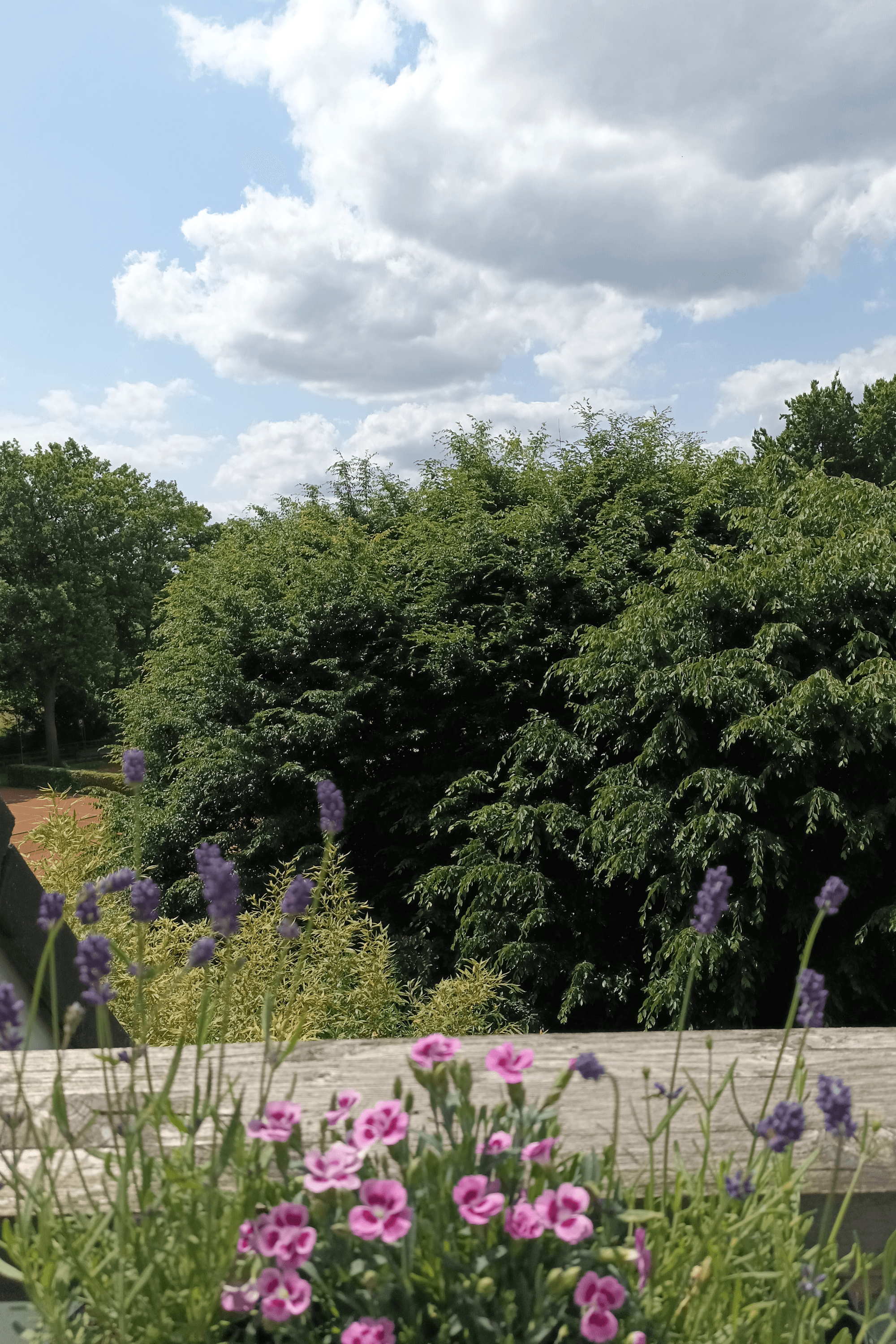 Balkon der Ferienwohnung Allerblick in Celle