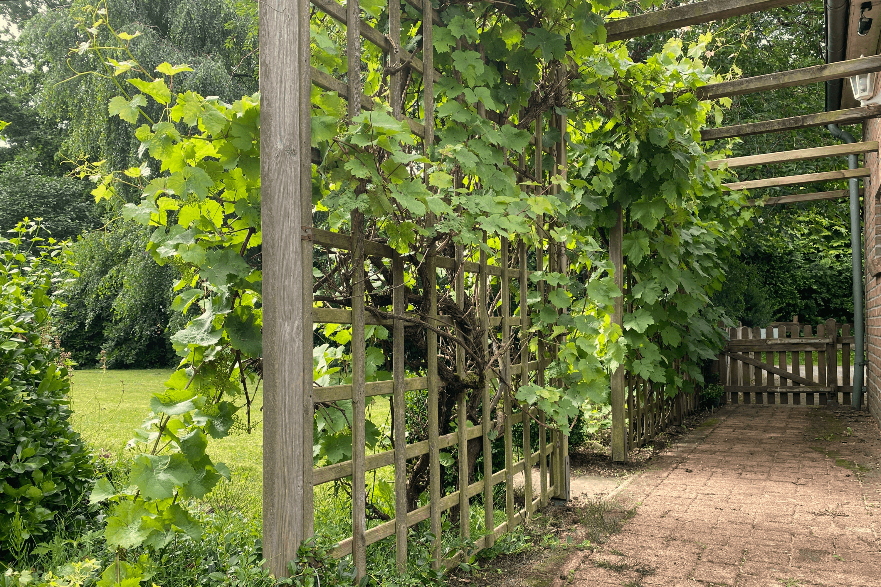 Garten Ferienhaus am Heidesee in Müden Örtze