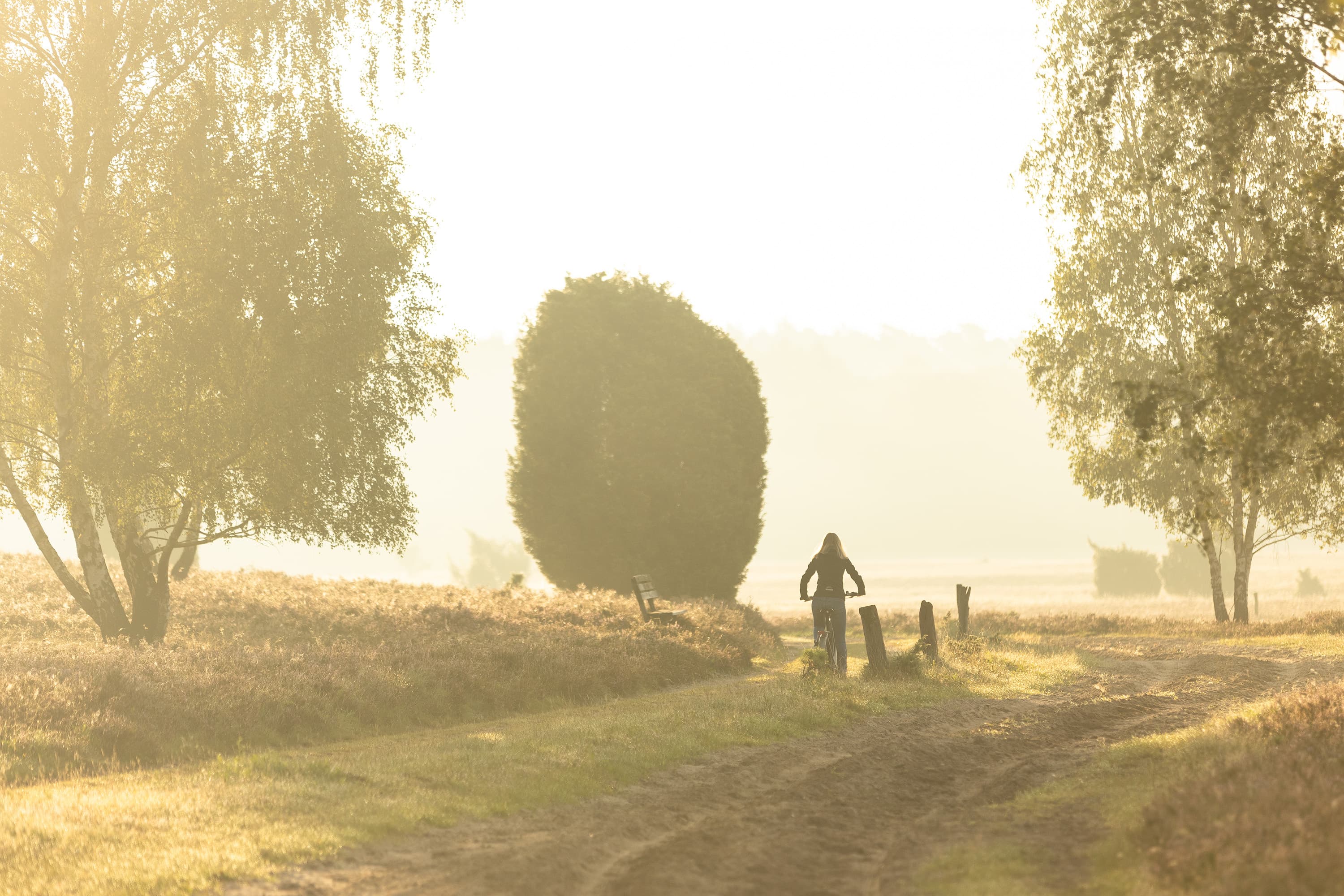 Mit dem Fahrrad durch die Heide