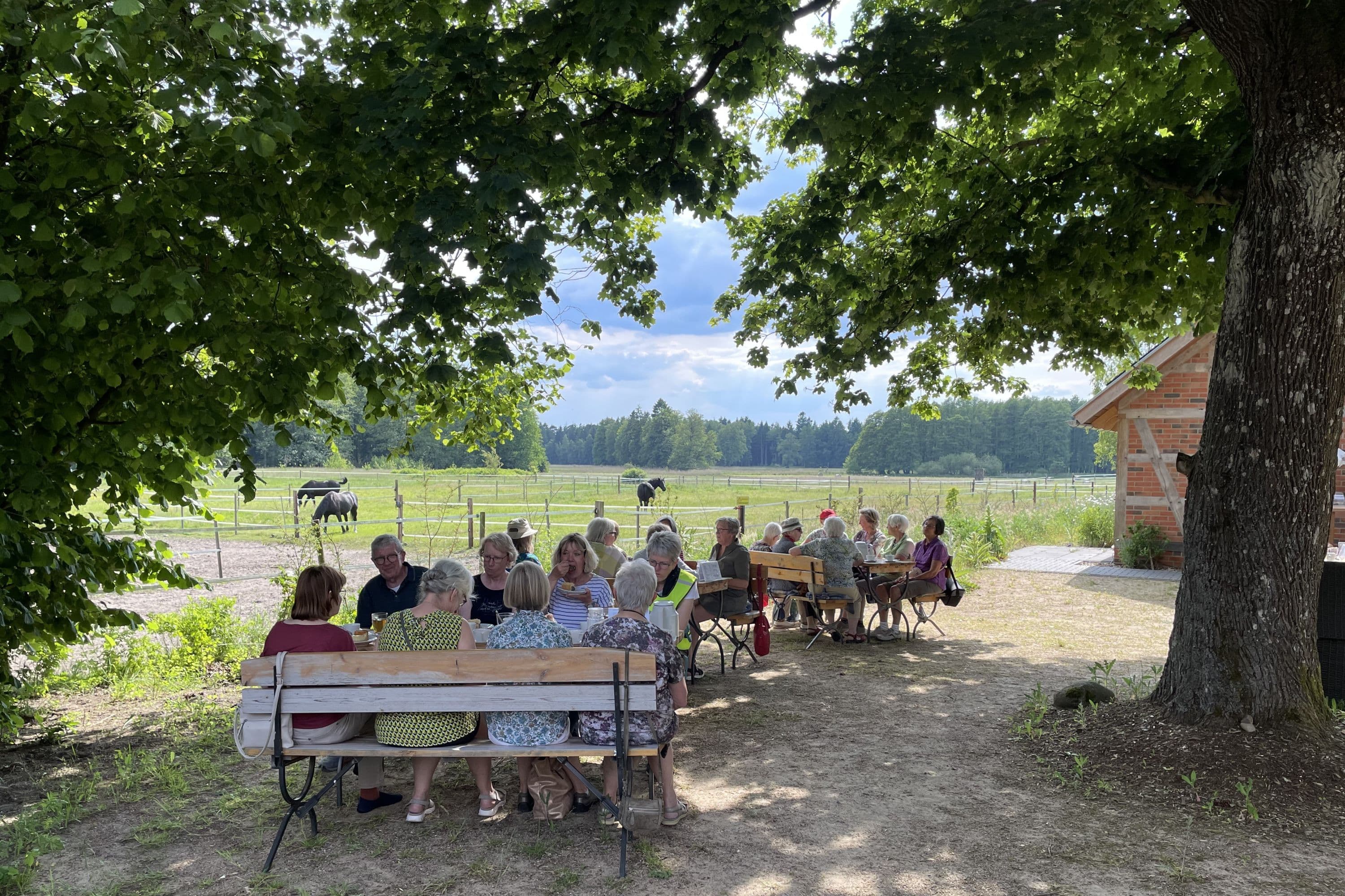 TraumzeitHof Biergarten Eschede Südheide