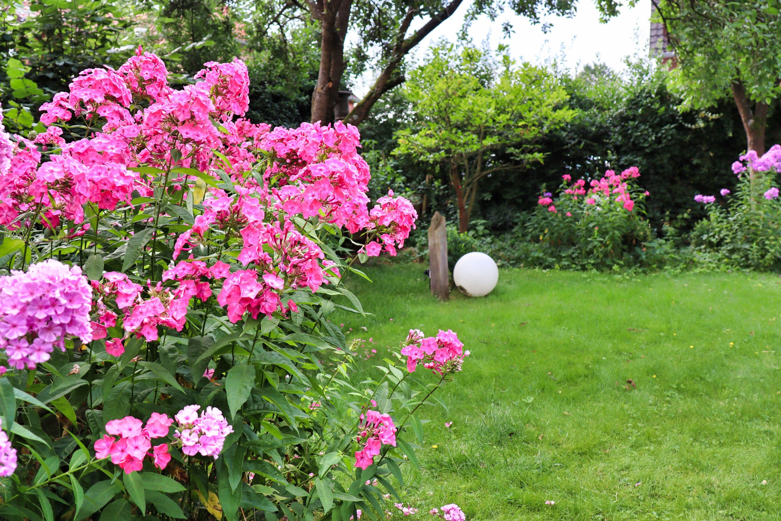 Garten Appartementhaus Beinke Wienhausen