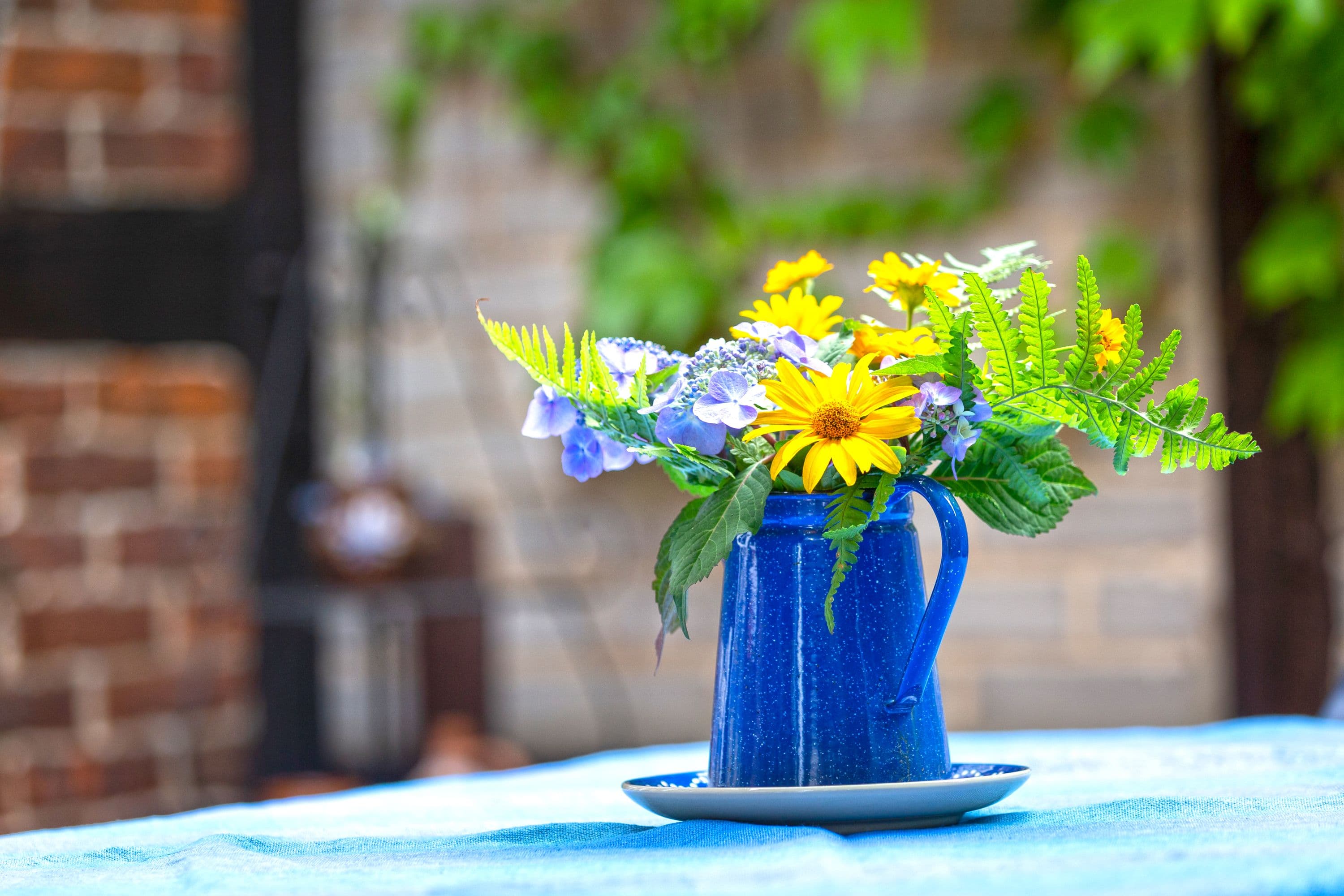 Blumen am Ferienhaus Schneider in Wietze