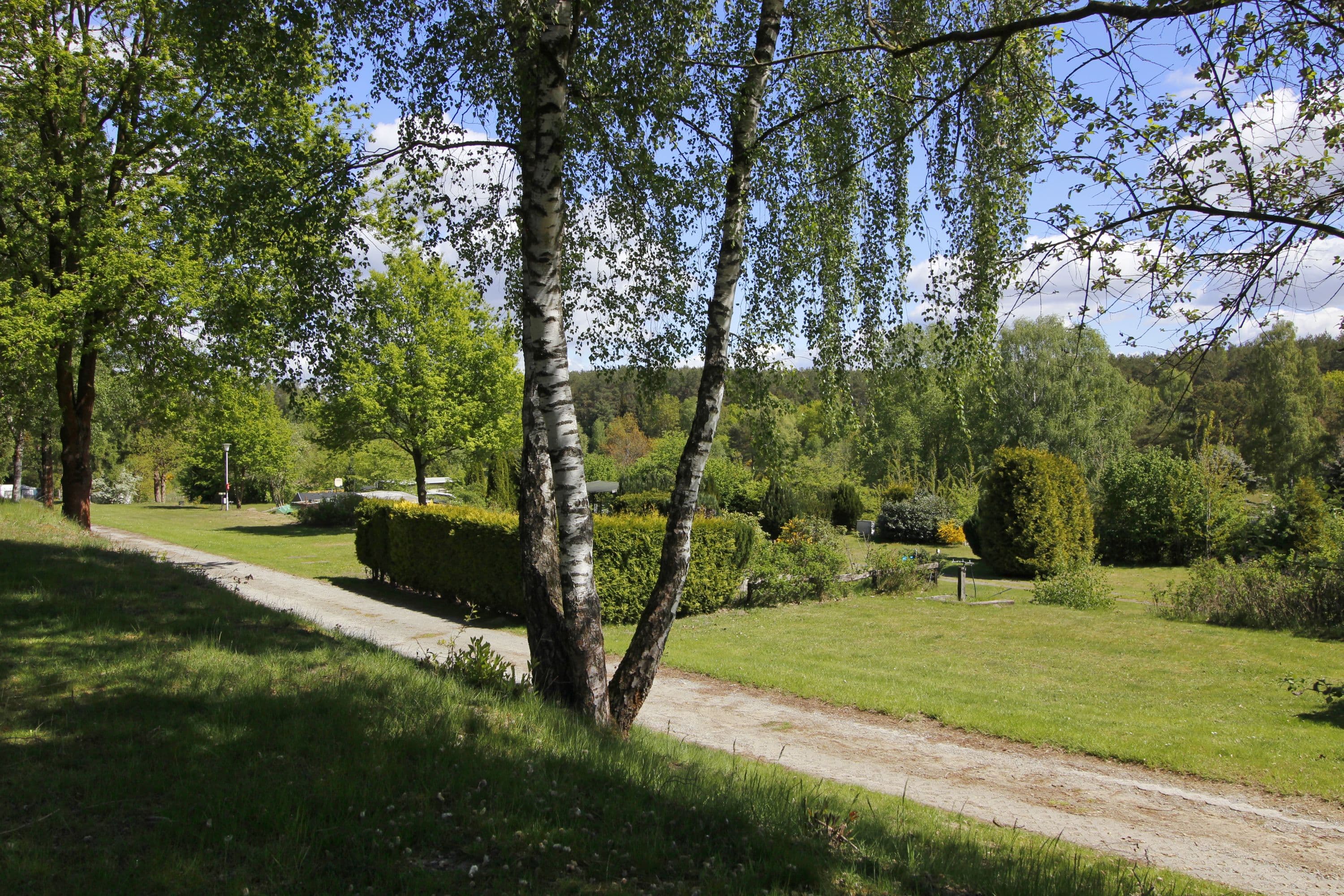 Stellplatz im Ferienpark Heidesee Faßberg