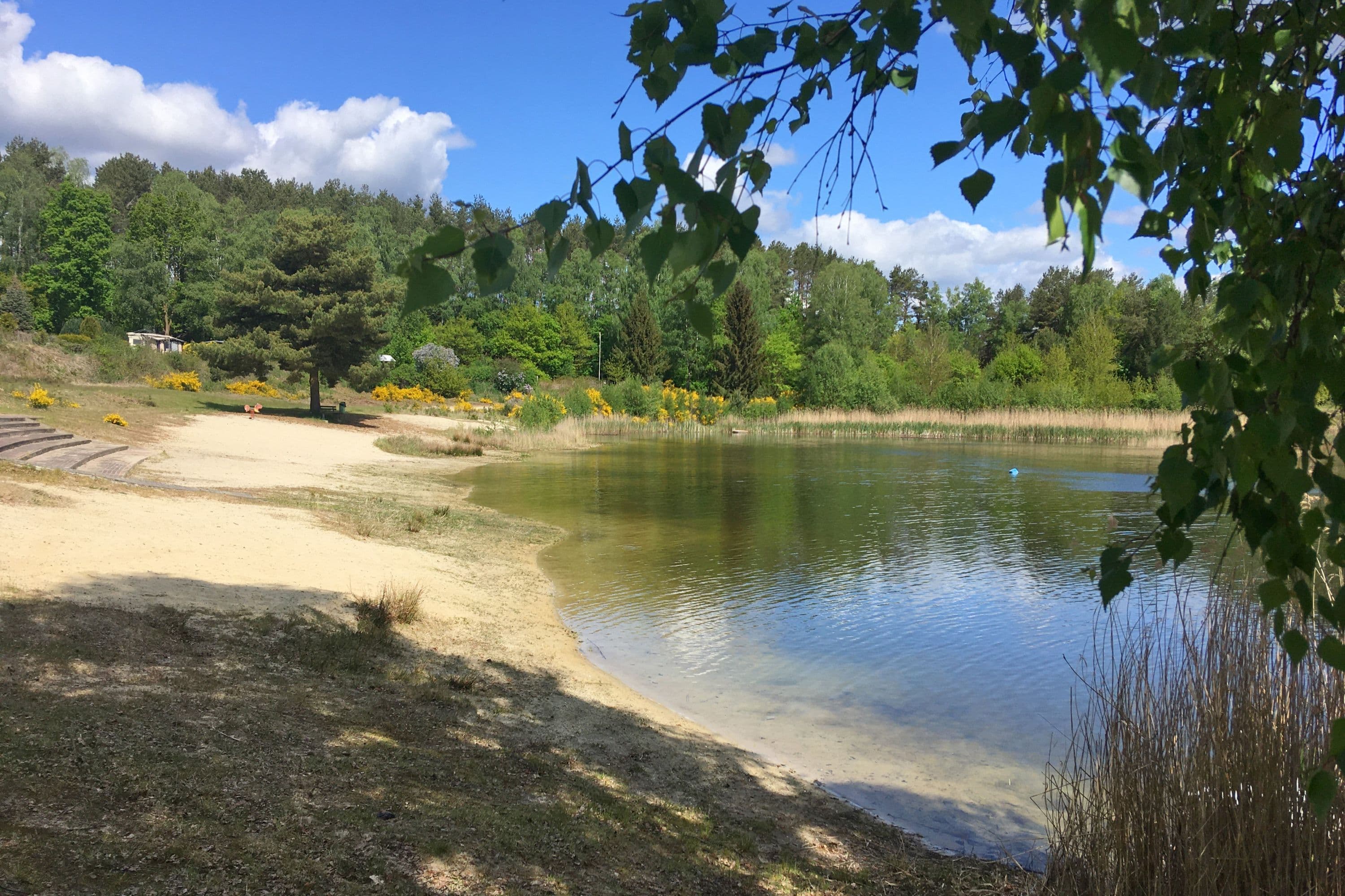 Badesee im Ferienpark Heidesee Faßberg