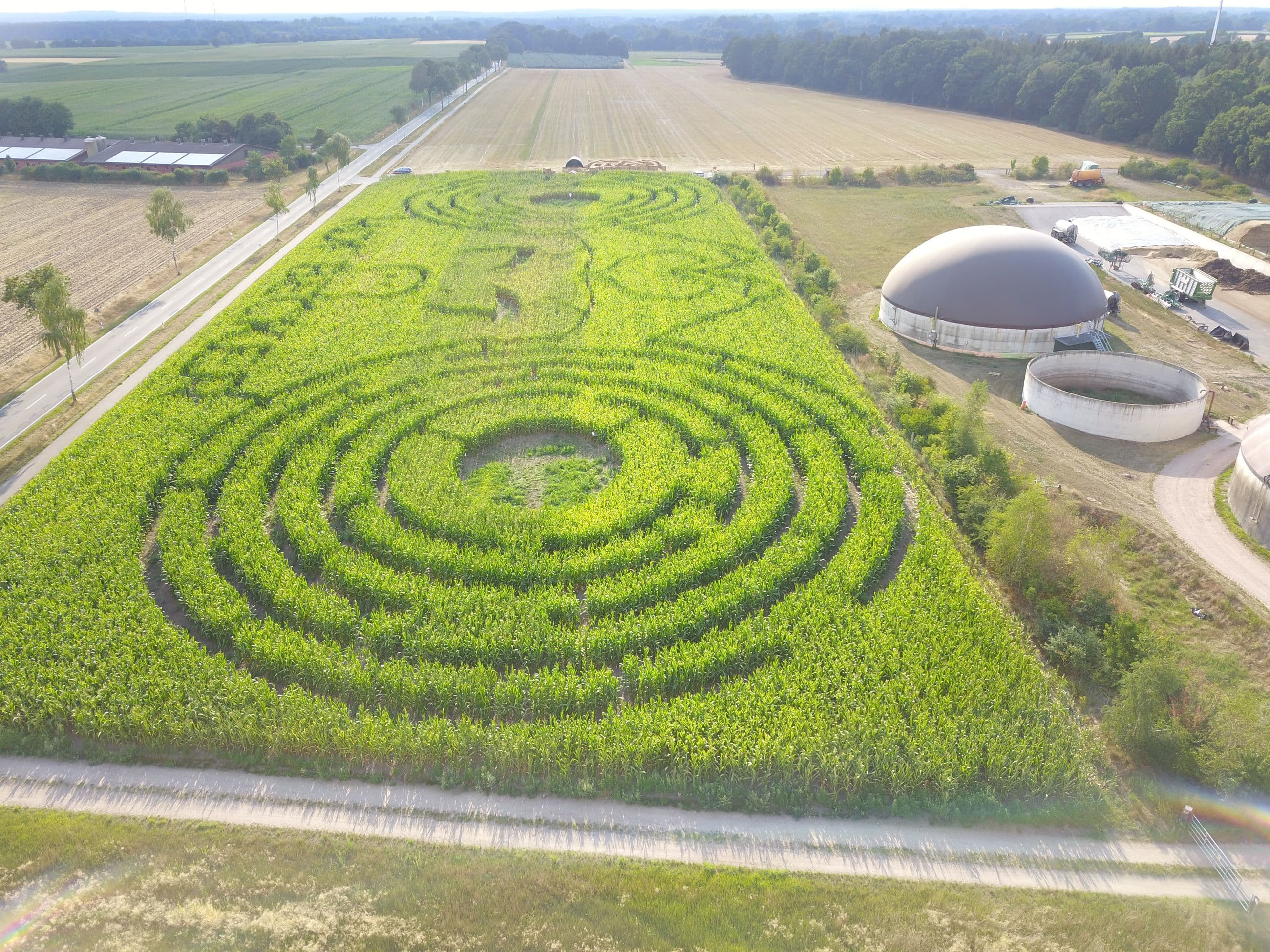 Ein weitläufiges Maislabyrinth erstreckt sich in einer geometrischen Form, umgeben von grünen Feldern. Die verschlungenen Pfade formen ein Muster, das aus der Höhe gut erkennbar ist.