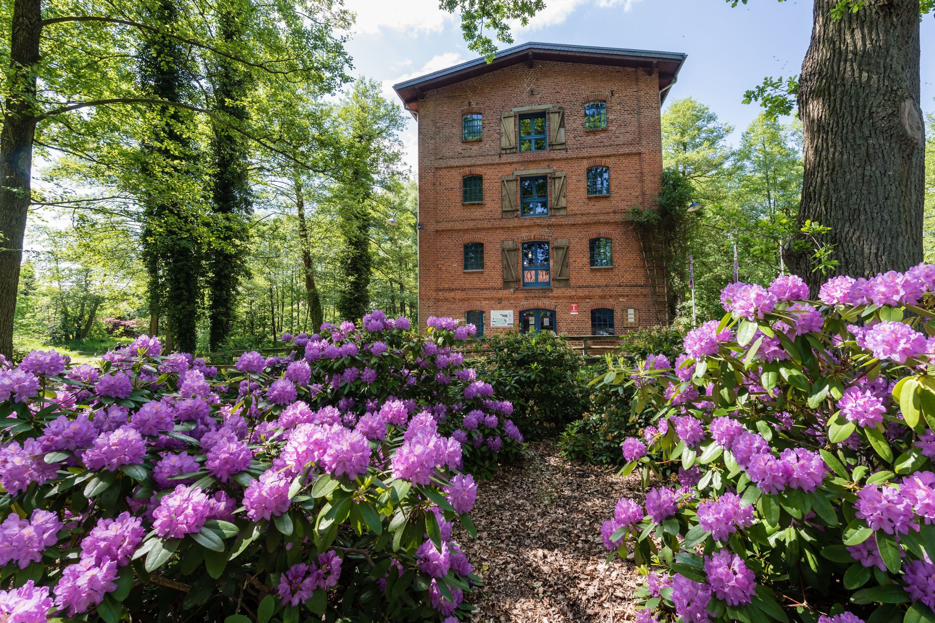 Wassermühle in Müden (Örtze)