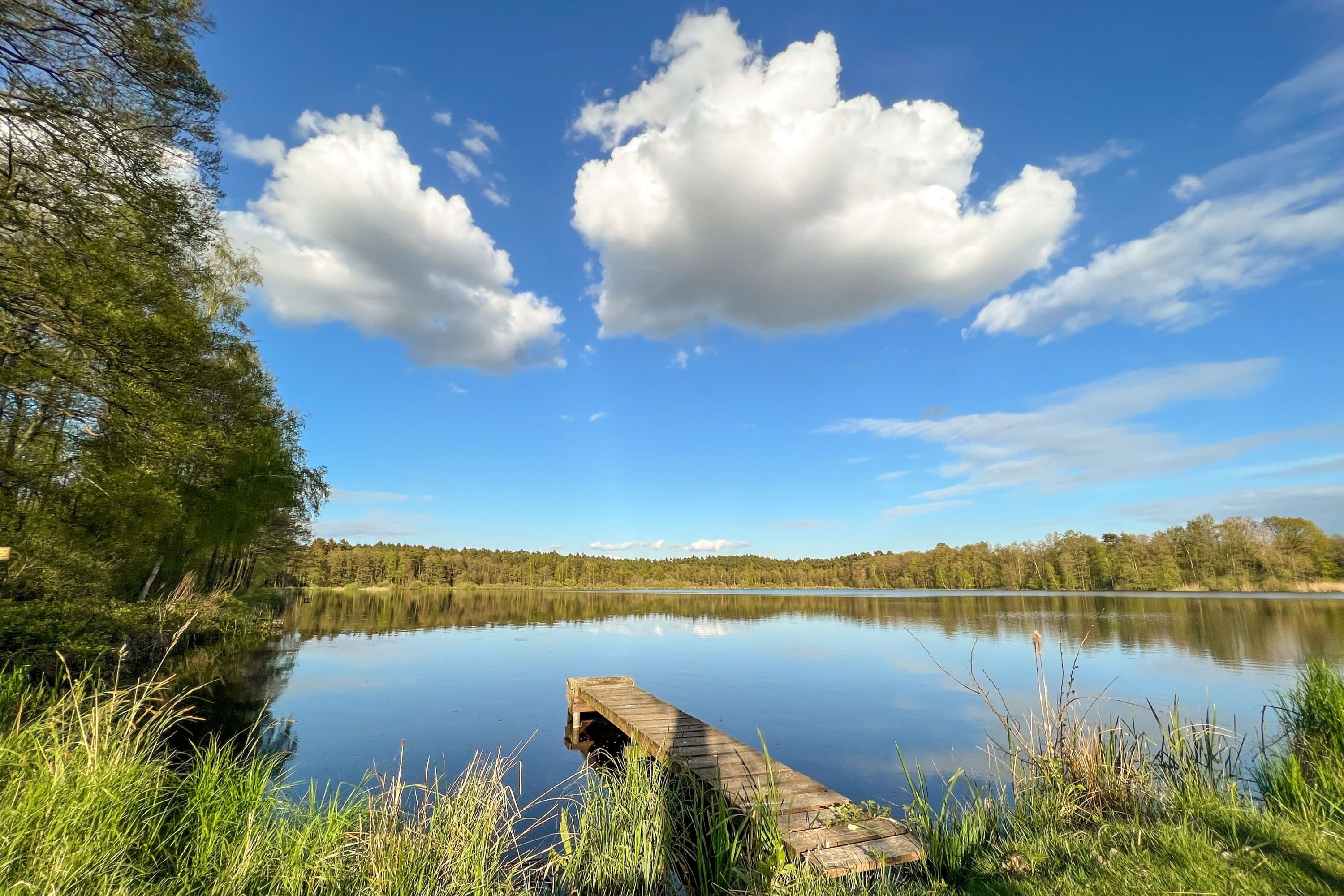 Aschauteiche bei Eschede