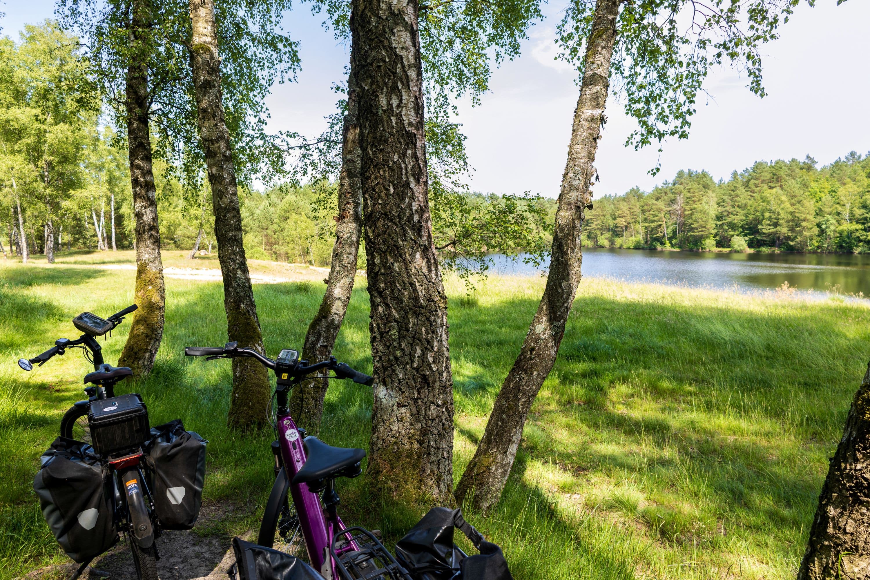 Kieselgurteiche an der Oberoher Heide