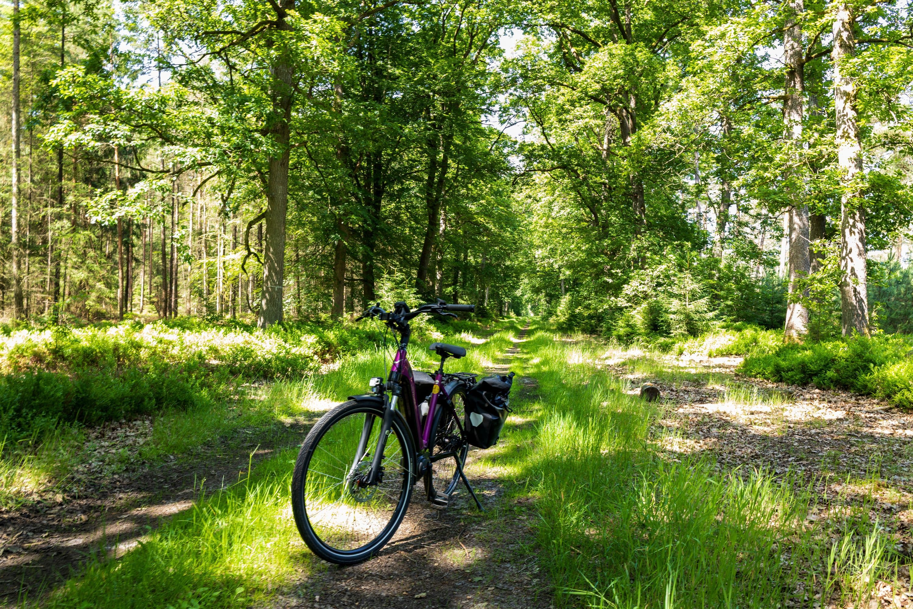 Auf der Radtour Geheime Südheide