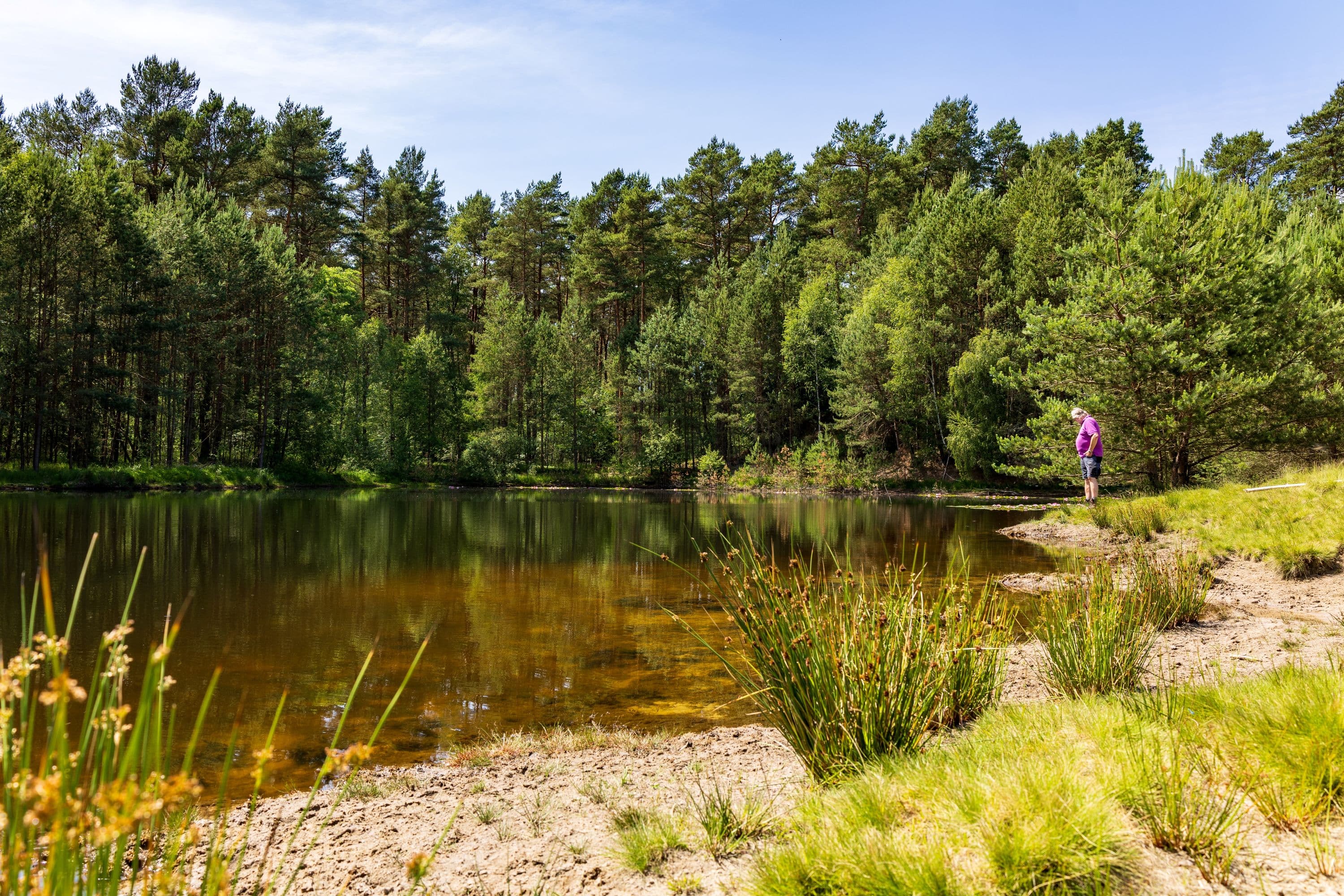 Am Kieselgurteich bei der Radtour Geheime Südheide