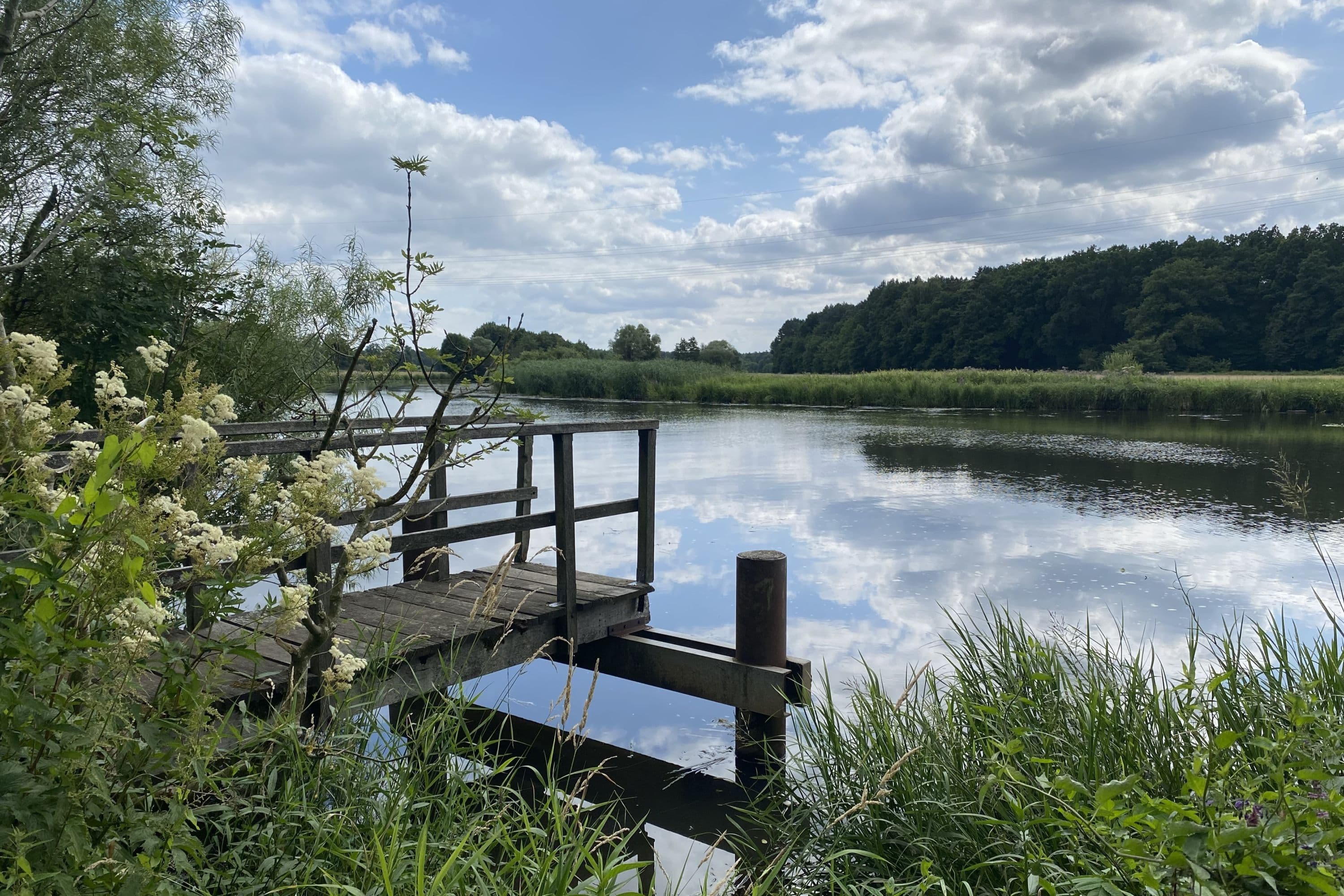 Aller bei Stedden