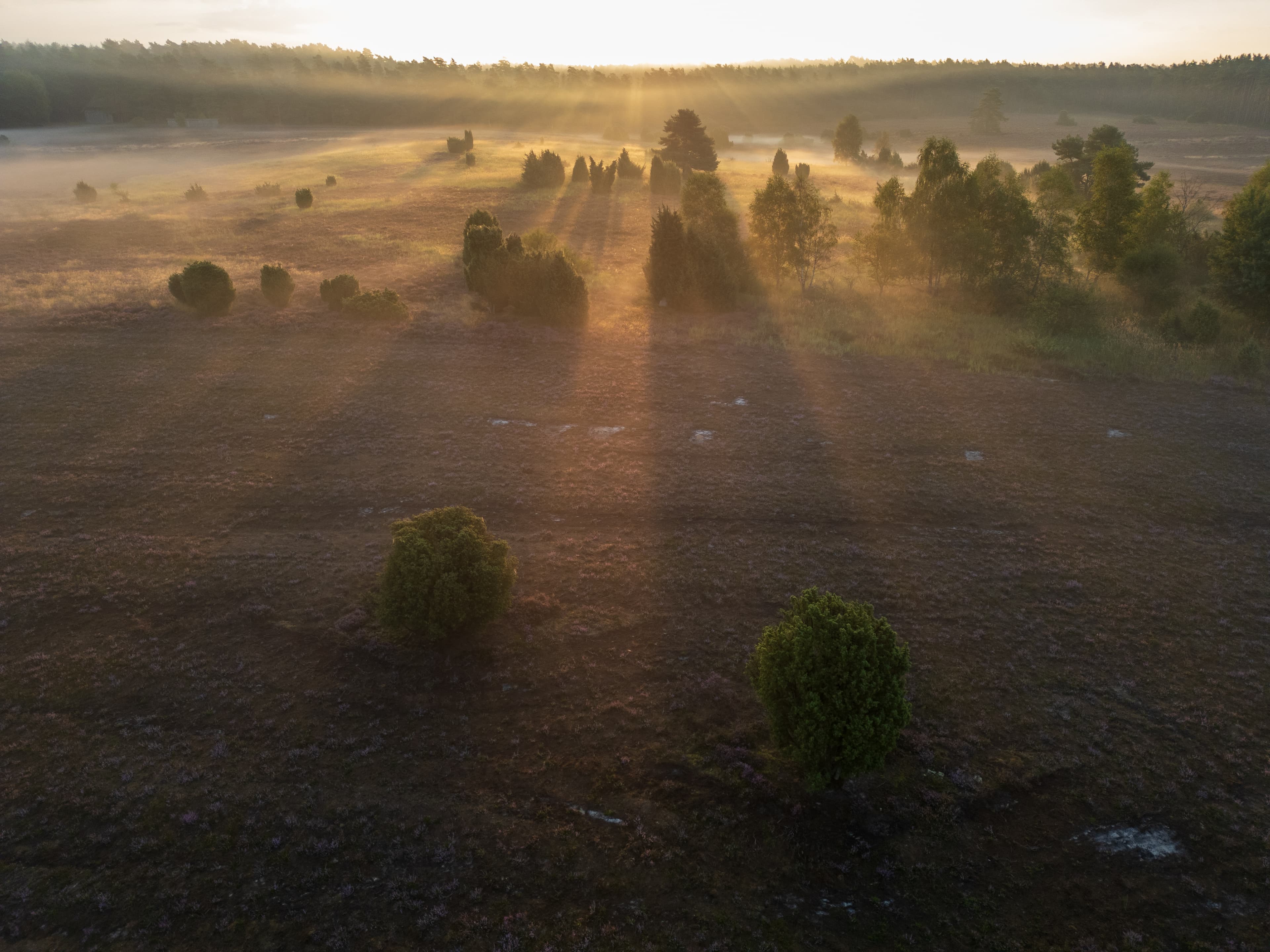 Sonnenaufgang in der Krelinger Heide mit Drohne