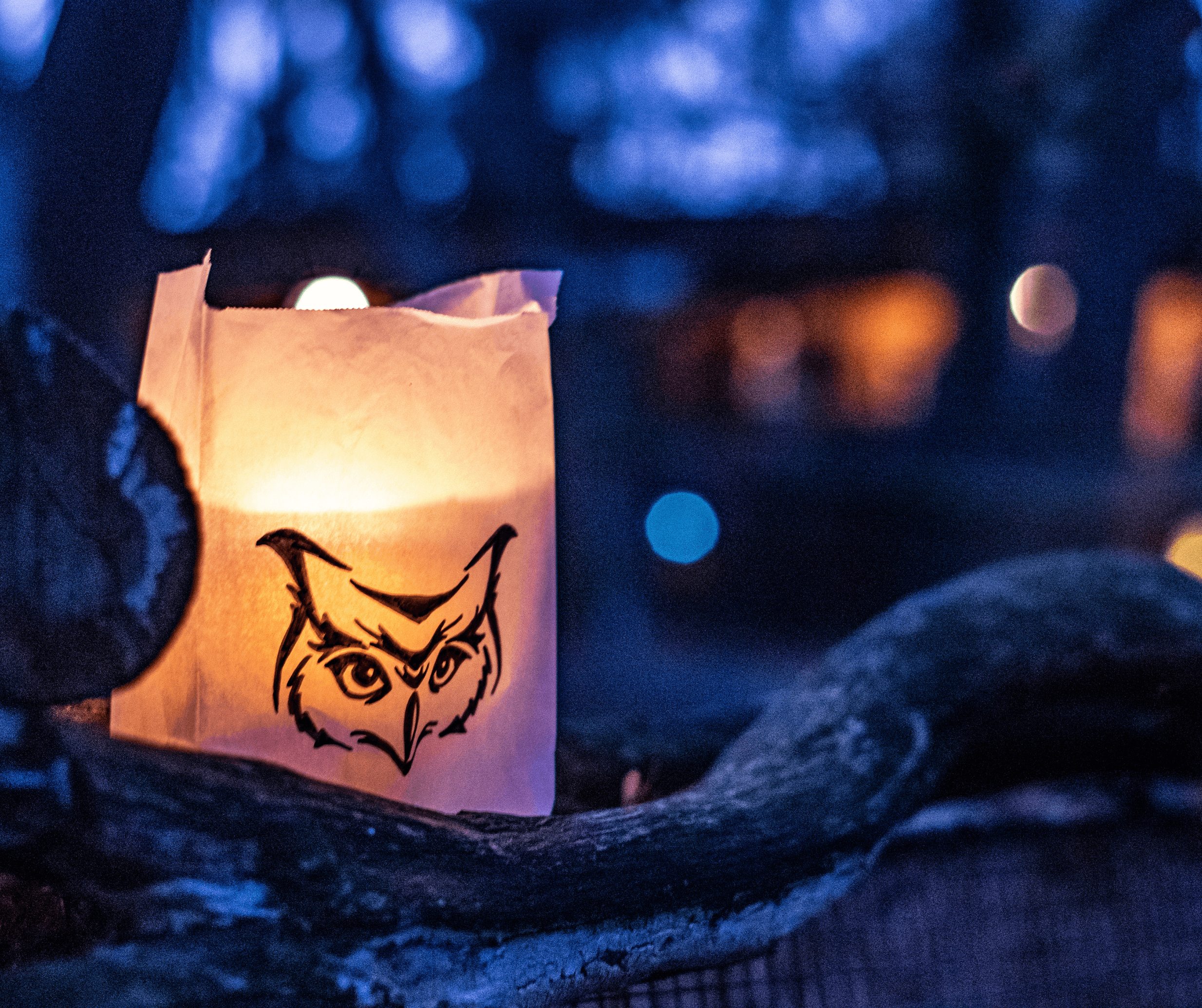Leuchtende Papierlaterne mit Eulenmotiv auf einem Ast, umgeben von warmem Licht in der Dämmerung.