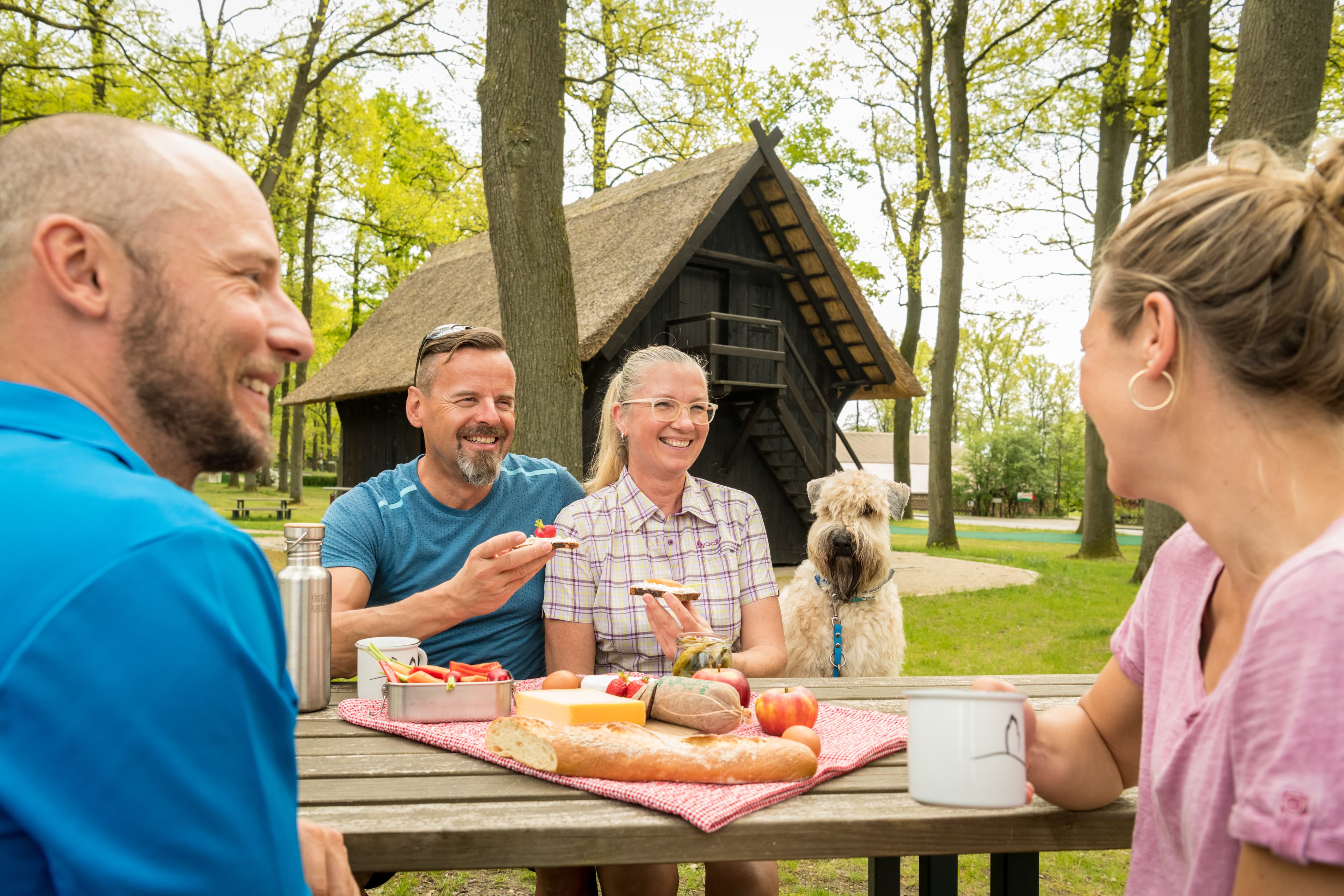Picknick am Heidschnuckenweg mit Produkten aus der Heide