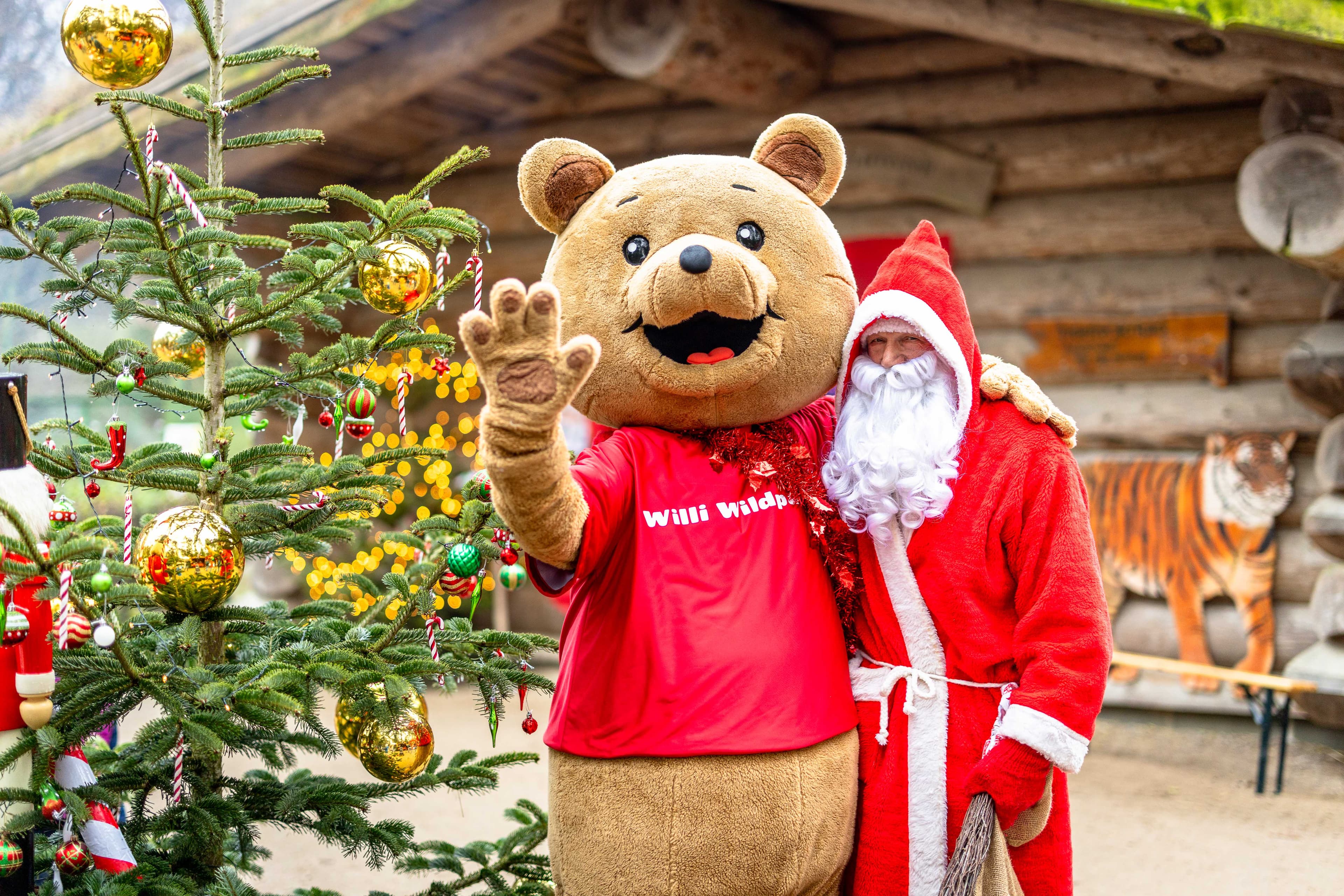 Weihnachtsmann und Maskottchen Willi Wildpark winken neben geschmücktem Baum im Wildpark.