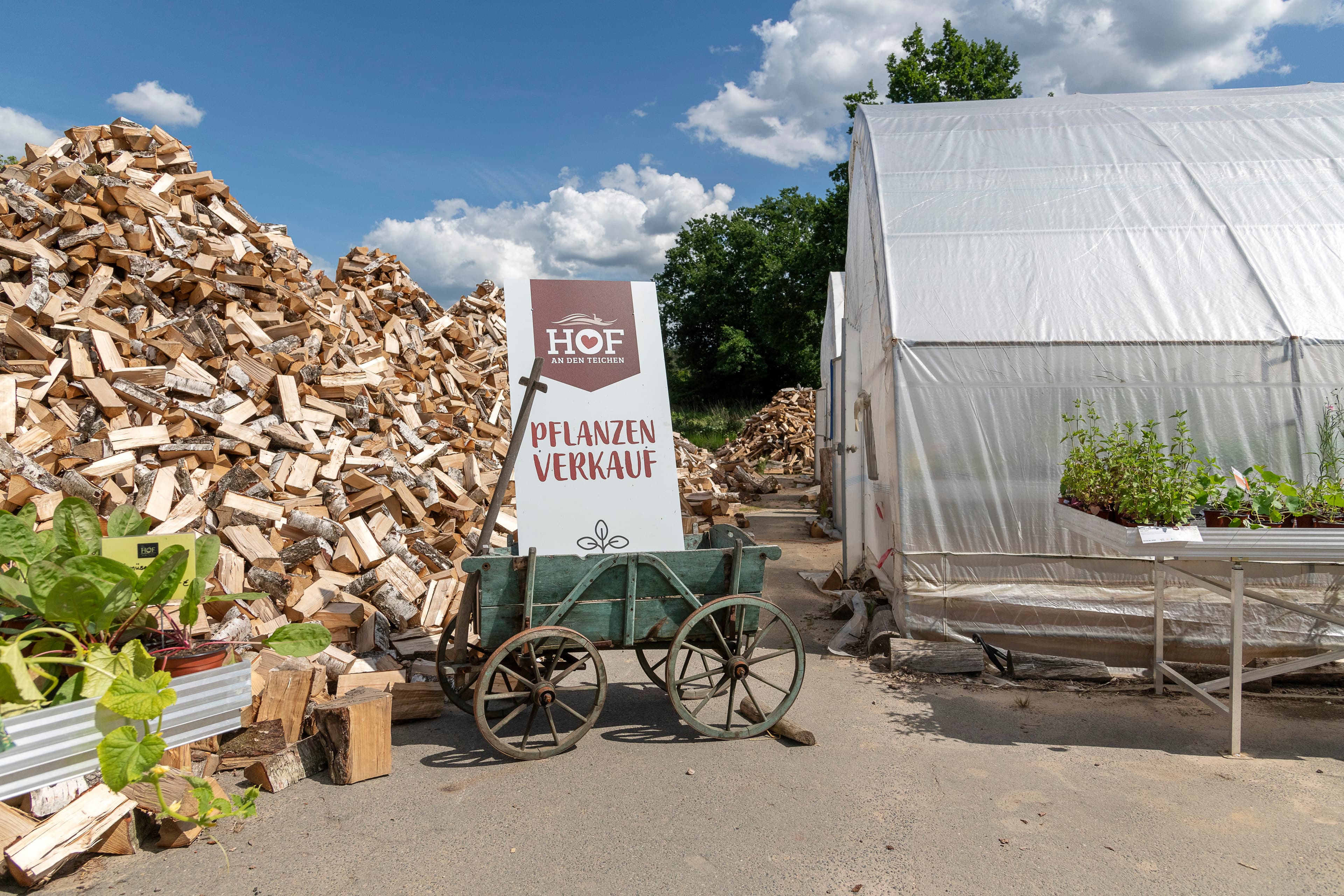Hof an den Teichen, Pflanzen-Markt
