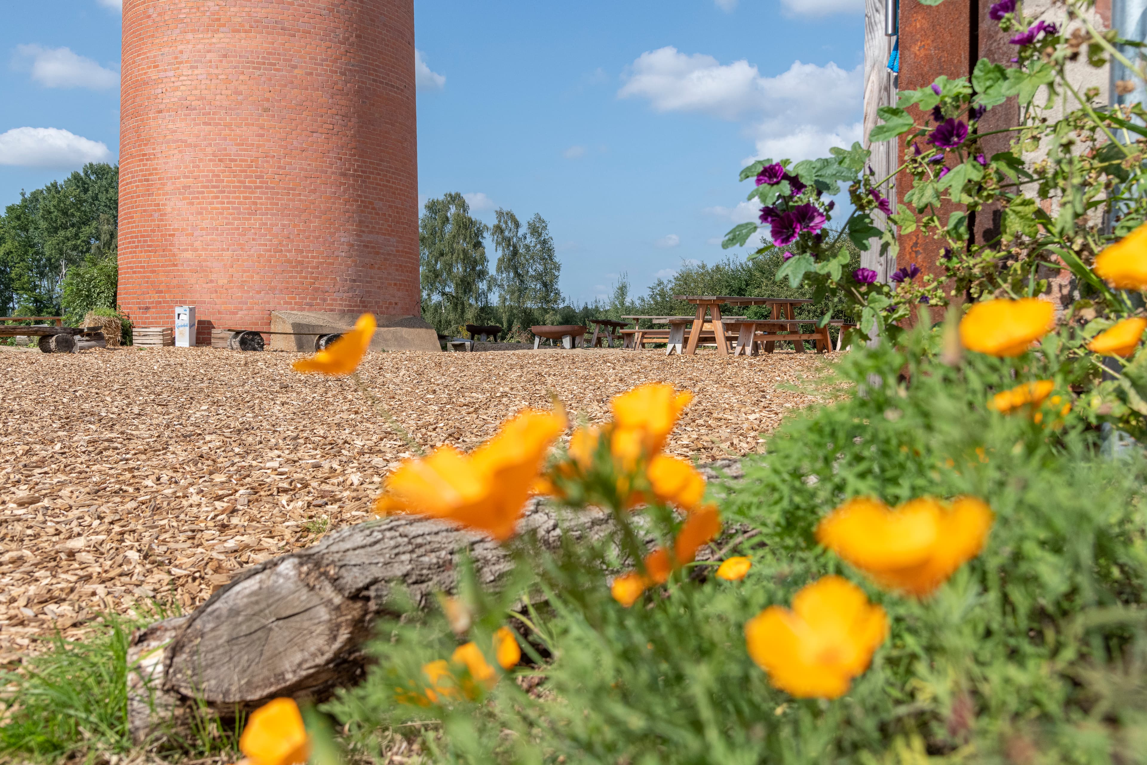 Hof an den Teichen, Gelände im Sommer