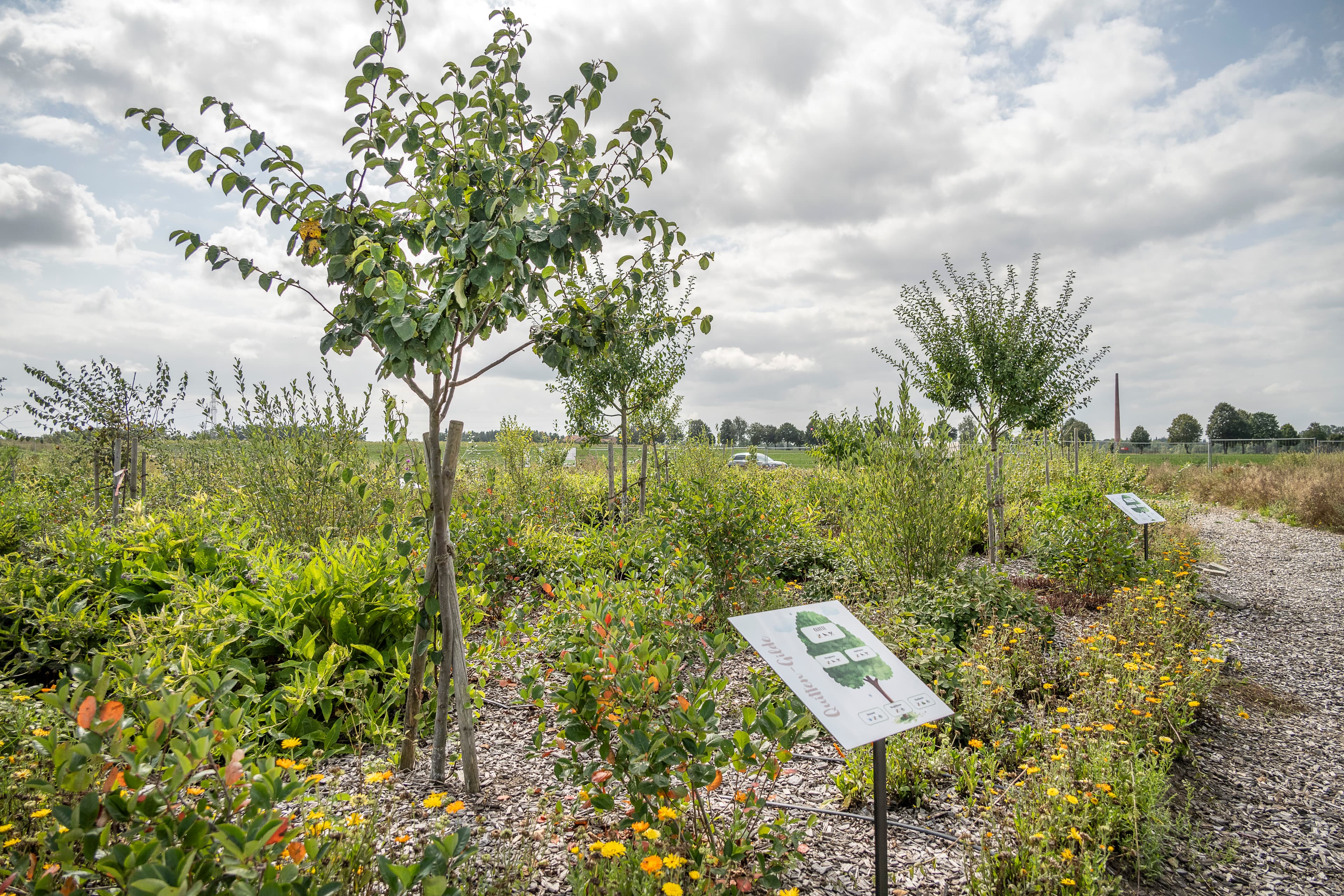 Hof an den Teichen, Waldgarten