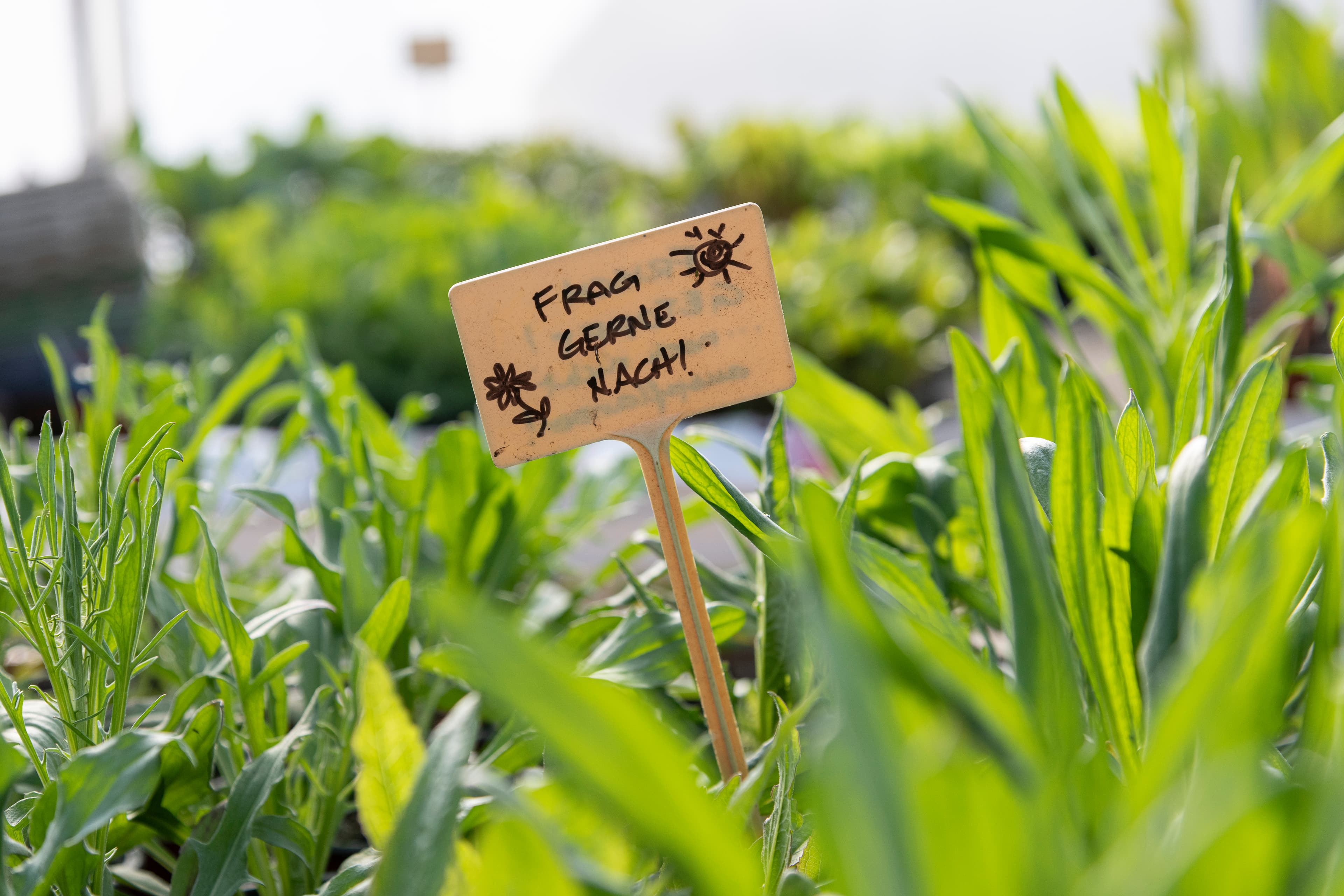 Hof an den Teichen, Gewächshaus