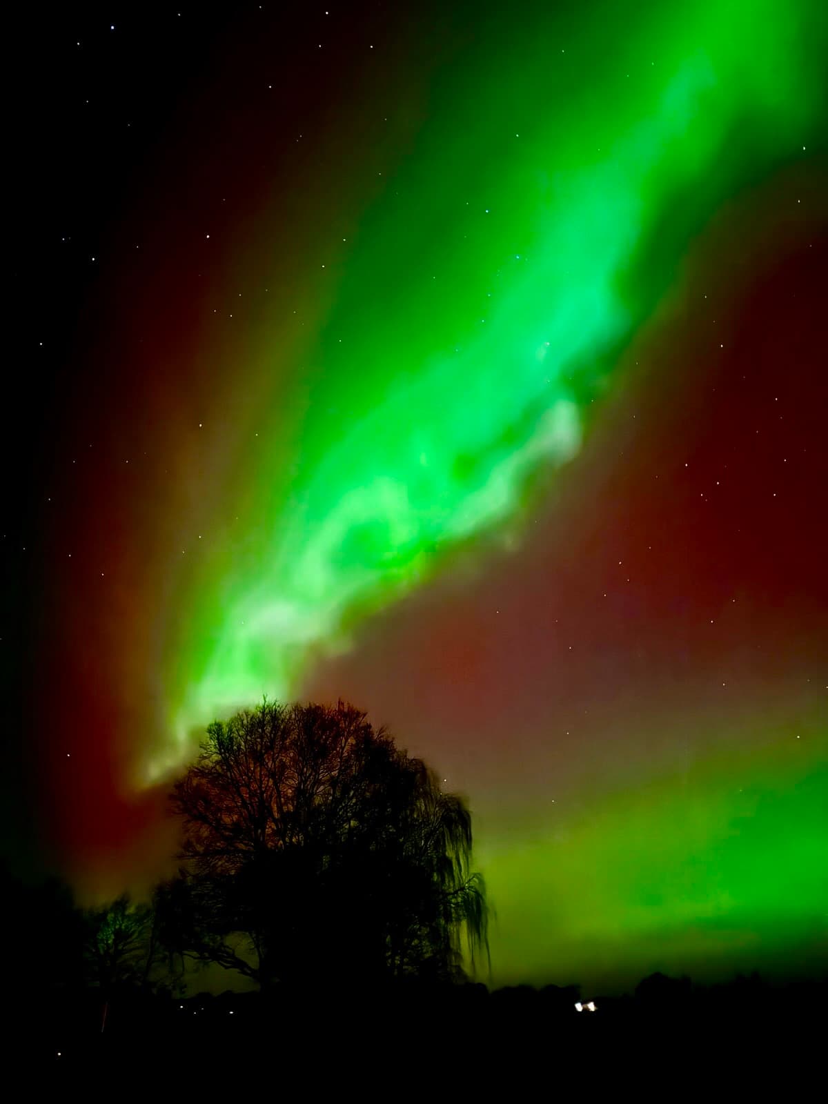 am 19.01. gab es das wohl stärkste Polarlicht seit jahren in der Lüneburger Heide