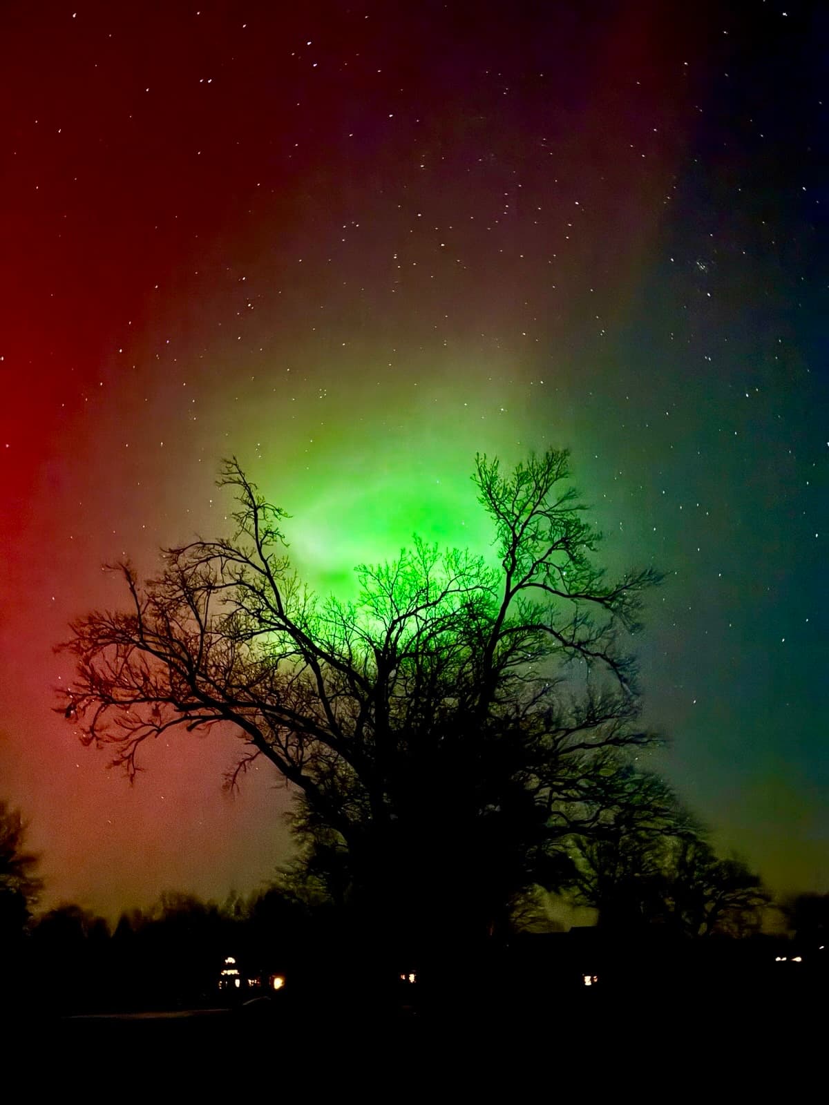 Starkes Polarlicht über der Heide Mitte Januar