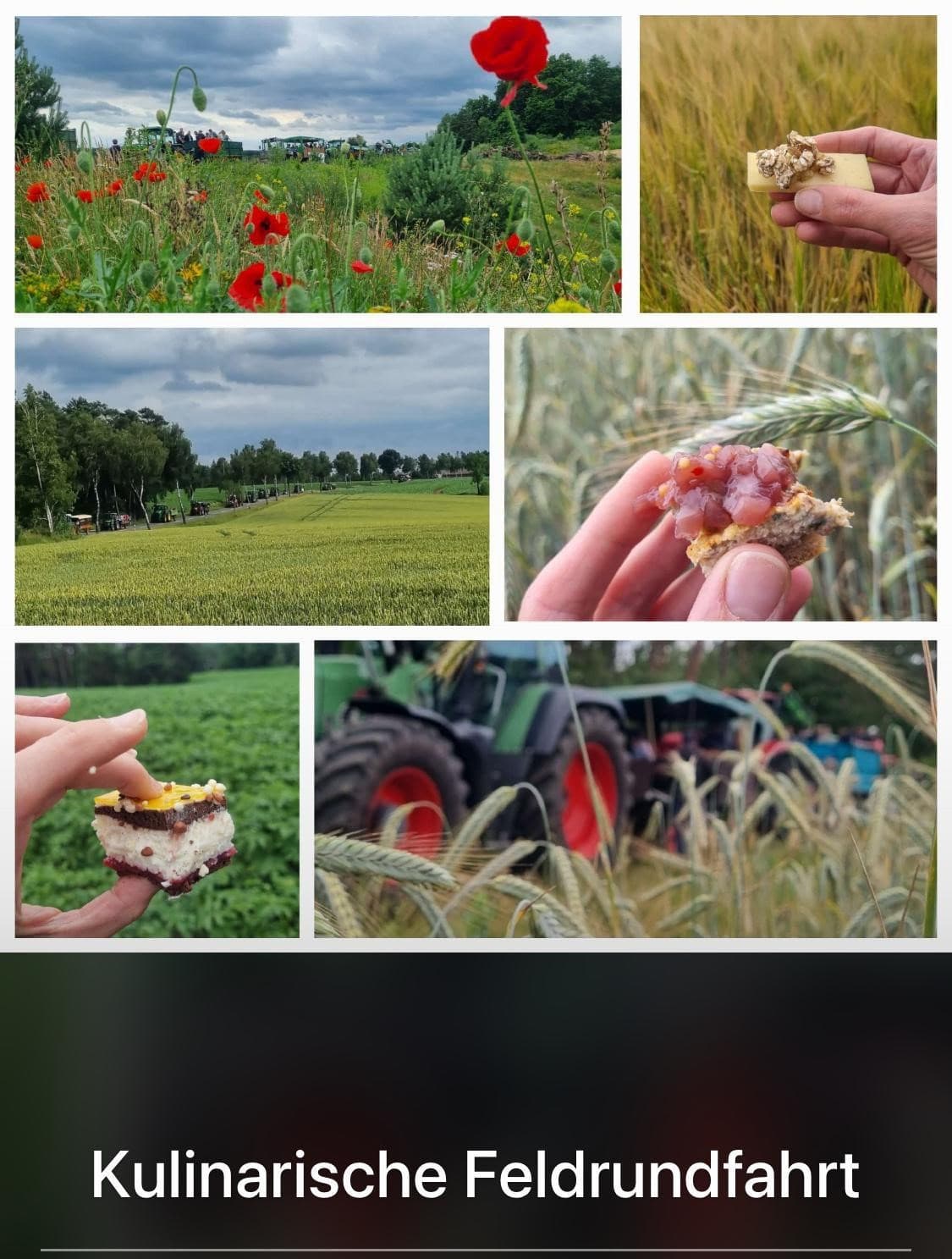 Traktoren fahren durch Felder mit Mohnblumen und Getreide, Teilnehmende genießen regionale Kostproben.