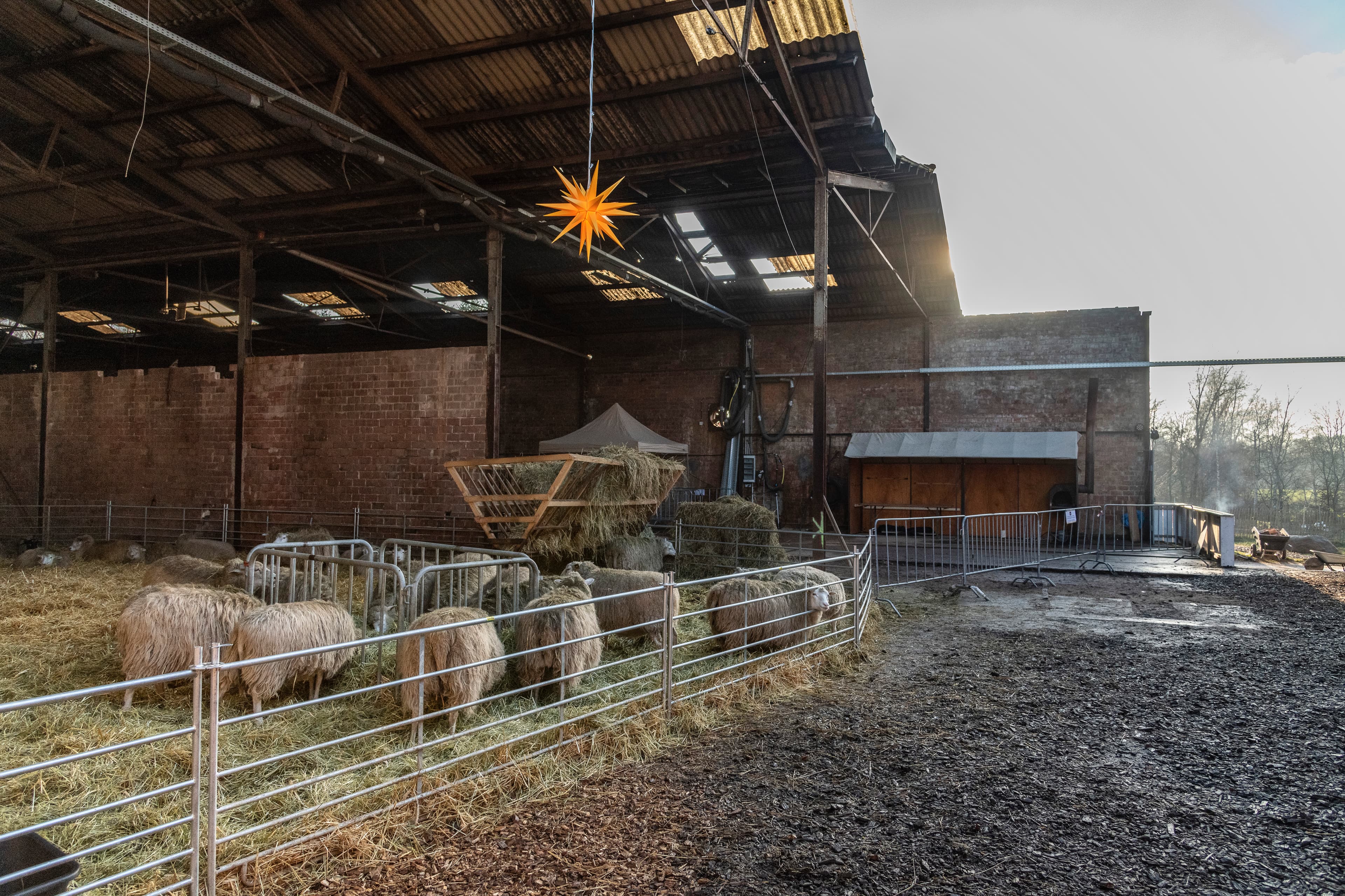 Hof an den Teichen, Winterställe der Tiere